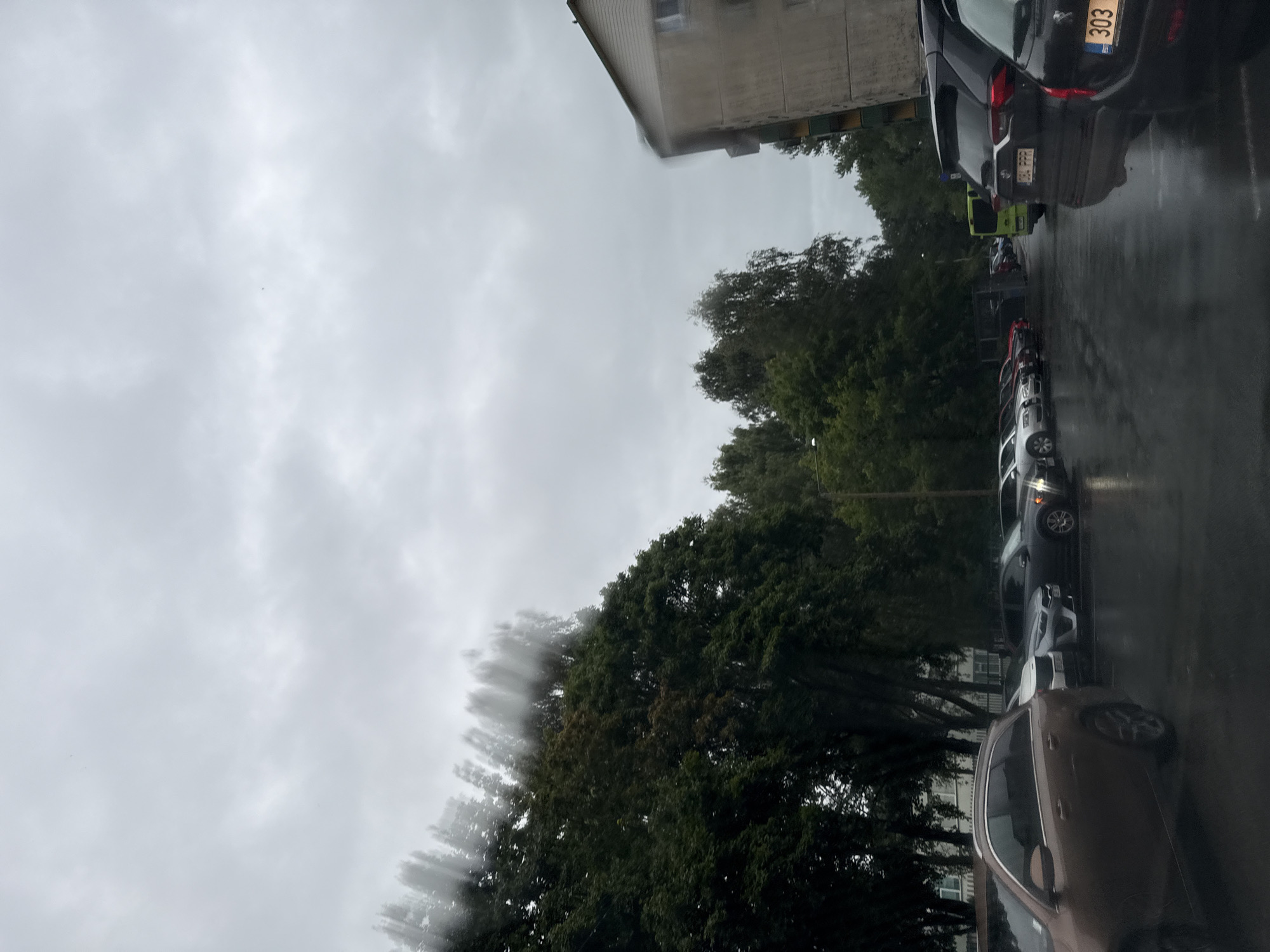 The image depicts a street view in Tallinn, Estonia, on a cloudy day, likely during or after rainfall, as evidenced by the wet asphalt and streaks on the visible windows, suggesting the photo was taken from inside a vehicle. In the foreground, a brown station wagon is parked. Further down the street, a line of cars is visible, including a dark SUV with a license plate that reads "334 FFFR", and a black car with a license plate containing "303 EST". A lime-green van is also present in the middle ground. The background features a residential building with a beige facade and a grey roof, flanked by lush green trees. The overall atmosphere is overcast and somewhat muted due to the weather conditions.