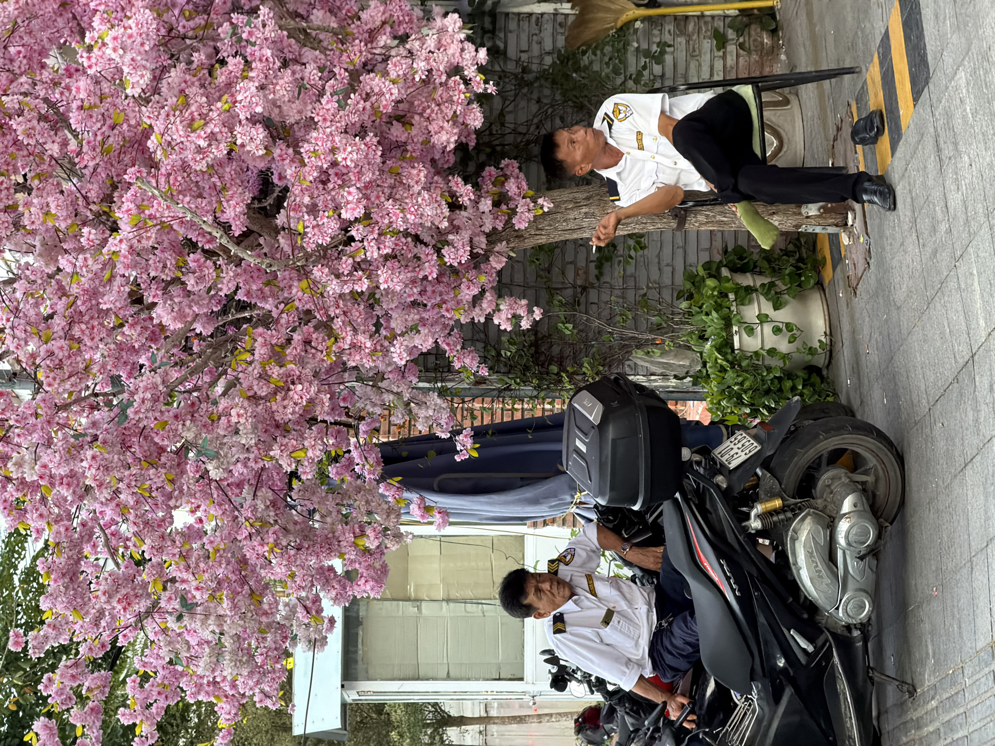 The image depicts a street scene in Nha Trang Ward, Vietnam. Two men in white uniforms, potentially security guards, are the primary subjects. One man reclines on a tree trunk with a cigarette in his hand, while the other sits on a black motorcycle. The motorcycle has a storage box attached. A tree with pink blossoms dominates the left side of the image. Potted plants and a broom are visible near the reclining man. The background includes brick walls and a partially visible blue fabric. The environment appears to be an urban street.