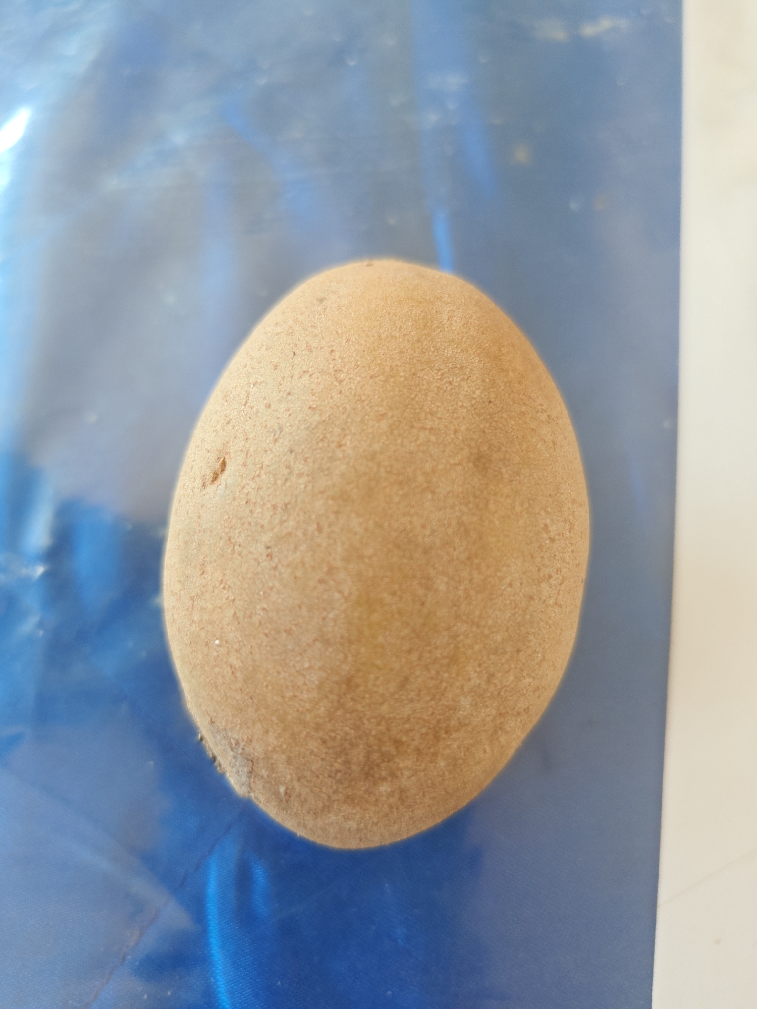 The image shows a close-up, top-down view of a single, oval-shaped fruit, likely a sapodilla, resting on a textured blue surface. The fruit has a rough, brown skin with a slightly granular appearance. There is a small, dark indentation on the upper left side of the fruit. The blue surface appears to be a piece of plastic sheeting, possibly a bag, with some subtle wrinkles and reflections. The background transitions to a white surface on the right. The lighting suggests an indoor environment, casting soft shadows and highlighting the texture of the fruit. There are no people visible in the image, and the scene is static. The location in Cermee, Indonesia is not depicted in the image itself.