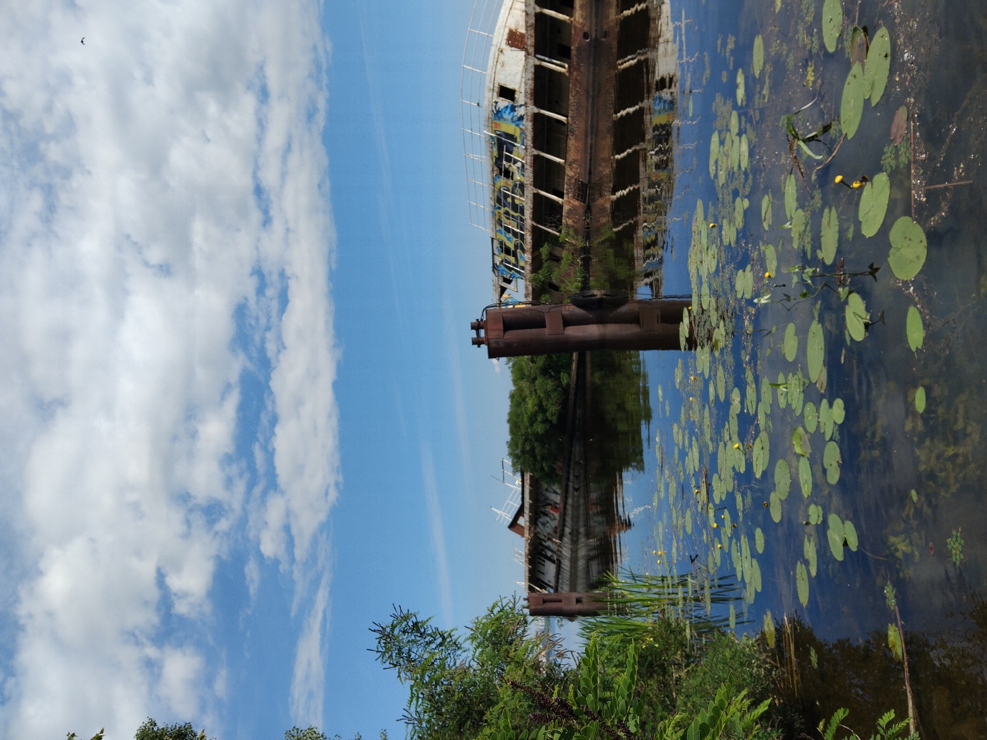 The image captures a serene waterfront scene on a sunny day, likely in Kyiv, Ukraine. In the foreground, the water is calm, dotted with lily pads and small yellow flowers. Tall reeds and lush green foliage line the left bank of the body of water, suggesting a natural or semi-natural environment. In the middle ground, the remains of two derelict ships are visible, partially submerged and overgrown with vegetation. The ships appear to be of substantial size, with rusted hulls and weathered structures. One ship is more prominent, its white superstructure contrasting with the surrounding greenery and water. The sky above is a clear blue, partially obscured by fluffy white clouds. The reflection of the ships and the sky can be seen on the water's surface. The overall impression is one of quiet decay and nature reclaiming man-made structures.