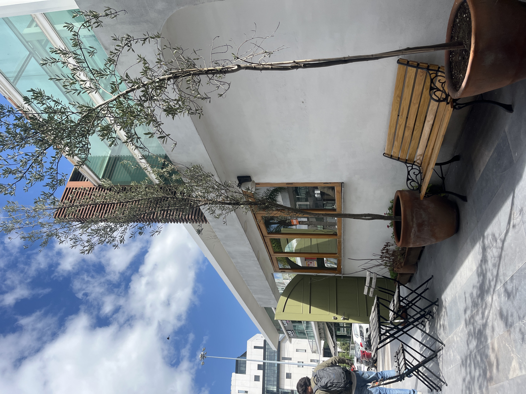 The image depicts an outdoor pedestrian area in San Bernardino Tlaxcalancingo, Mexico, fronting a modern building, likely a cafe or retail establishment. The building features a textured, light grey facade with a prominent, arched, olive-green double door on the left and a large, multi-pane wooden-framed window to its right, reflecting parts of the sky and surrounding structures. Above, a contemporary section of the building includes a series of horizontal reddish-brown slats and a significant glass-paneled upper floor or roof structure.
Two slender trees with sparse green leaves, possibly olive trees, are planted in large terracotta pots and positioned along the building's facade. Additional smaller planters containing dry or minimal vegetation are situated between the door and a light wooden bench with ornate black metal supports, located on the far right.
In the foreground on the left, a person with their back to the viewer walks leftward, wearing a dark backpack, an olive-green shirt, and blue jeans. Shadows from the trees and an unseen structure are cast across the grey, tiled pavement. Beyond the person and the green door, a street is visible with parked cars and additional multi-story buildings, one featuring "Kanak" signage on a glass railing. A tall street light pole with multiple lamps stands in the mid-ground. The sky above is blue with scattered white clouds, and a small dark bird is visible in flight in the upper left quadrant.