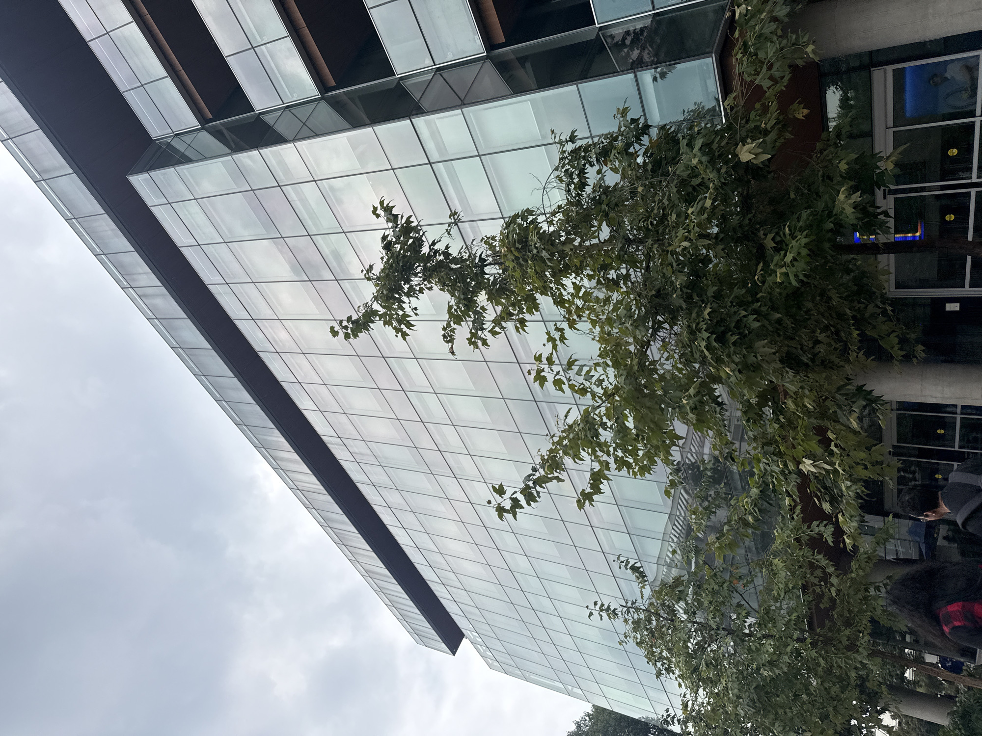 A low-angle shot presents a modern building in Mexico City, Mexico, where a grid-like facade of glass panels reflects the overcast sky. A tree with green foliage is partially obstructing the view of the building. Several people are standing beneath the tree.