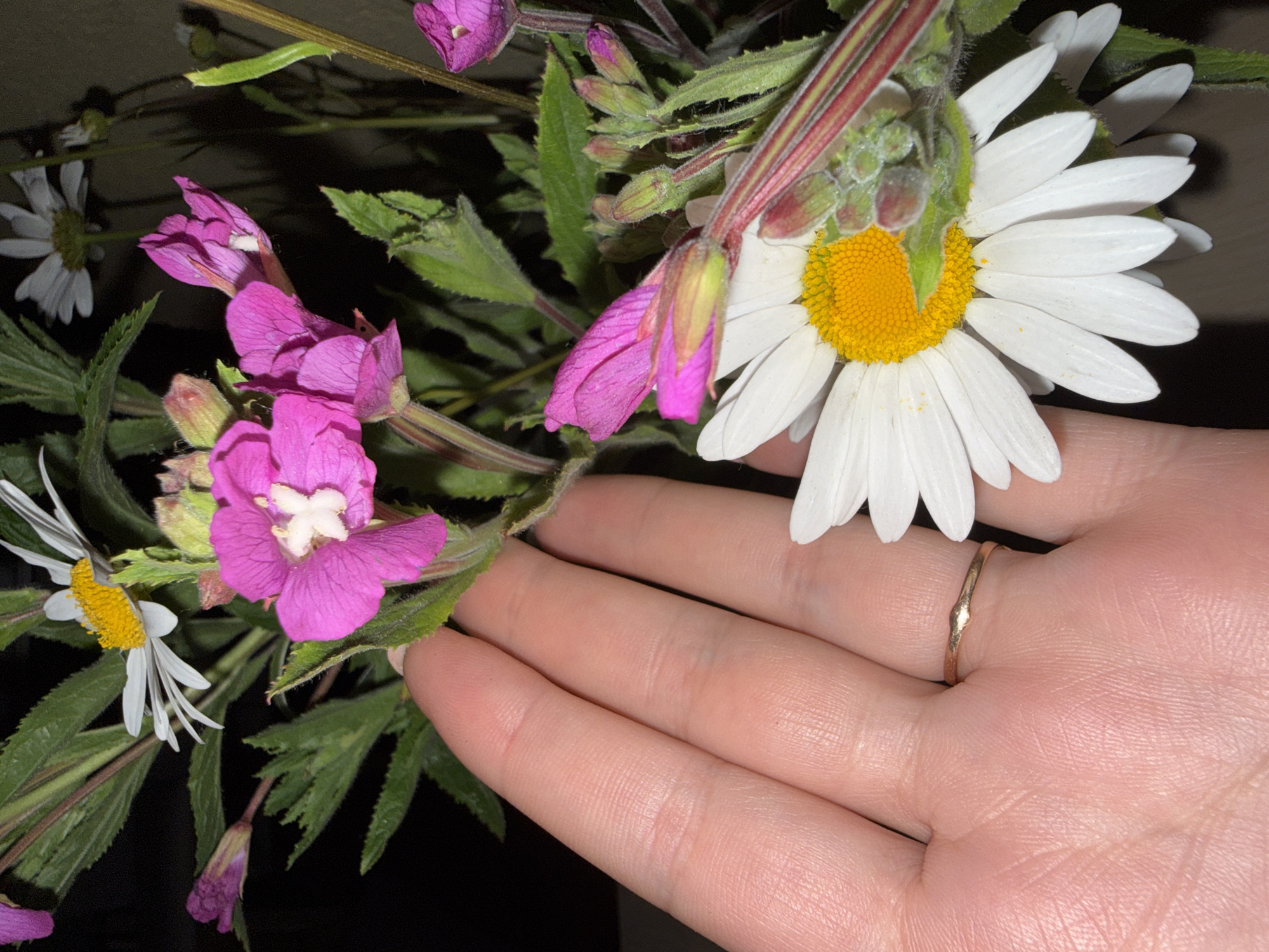 A close-up shot focuses on a hand holding a bouquet of wildflowers against a dark background. The hand is light-skinned and adorned with a thin, gold ring on the ring finger. Prominent in the bouquet are vibrant pink flowers with white centers, alongside white daisy-like flowers with yellow centers. Green leaves and buds are also visible, adding to the natural composition. The lighting suggests it may be indoors or in a dimly lit outdoor setting. The image does not provide any information about a specific location in Saint Petersburg, Russia.