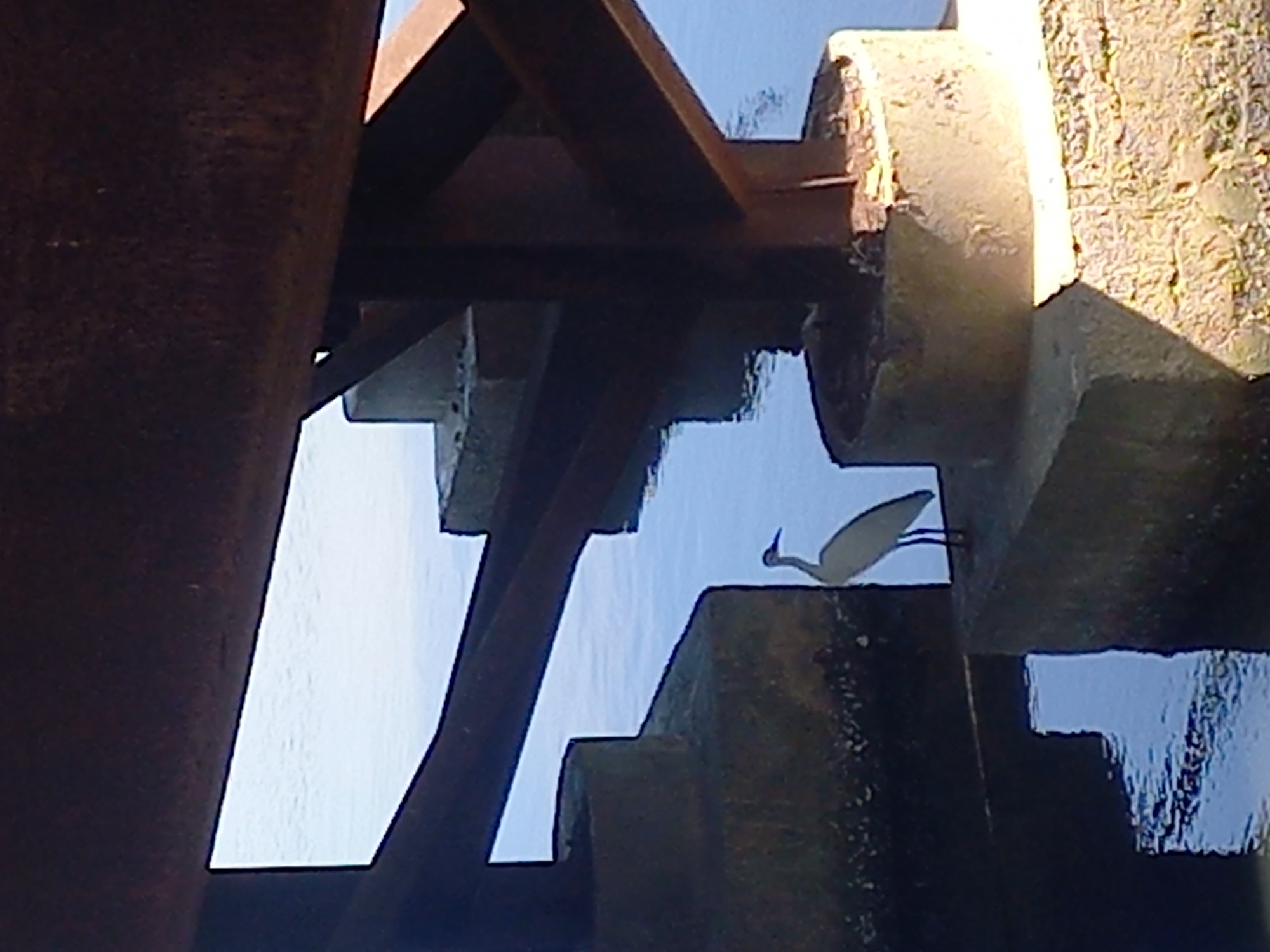 A small white bird stands on a concrete structure over water. Metal girders are in the foreground. The image was taken in Lhokseumawe, Indonesia.