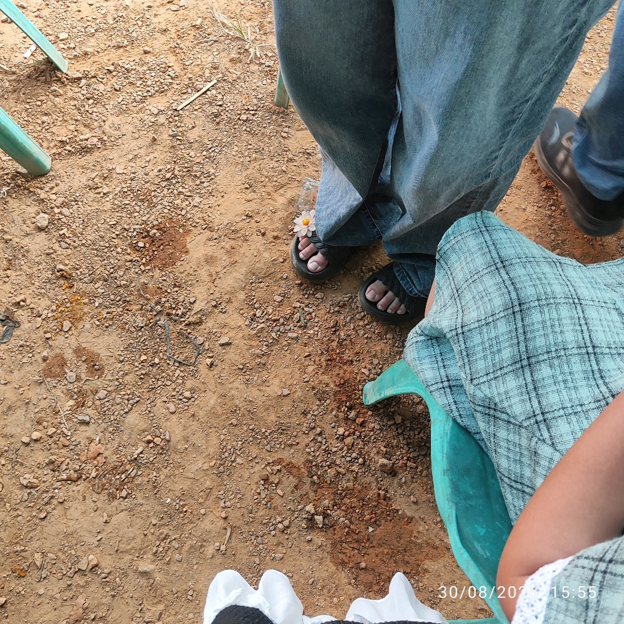 The image shows a close-up view of the legs and feet of several people sitting on the ground or on a chair. The ground is sandy and covered with small pebbles and some dried vegetation.
One person is wearing blue jeans and black sandals, with a small white daisy flower placed on one of the sandals. Another person is wearing a blue and white plaid skirt and is sitting on a teal-colored plastic chair. Partially visible is another person's legs in blue jeans, wearing dark shoes. The lower portion of the image also shows the white fabric of what appears to be a garment or cushion.
The scene appears to be outdoors, possibly in a rural or semi-rural setting. The lighting suggests it is daytime. There is a timestamp overlayed on the image in the bottom right corner: "30/08/2026 15:55". The location in the city of Pembaharuan, Indonesia, is not discernible from the visual information in the image itself.