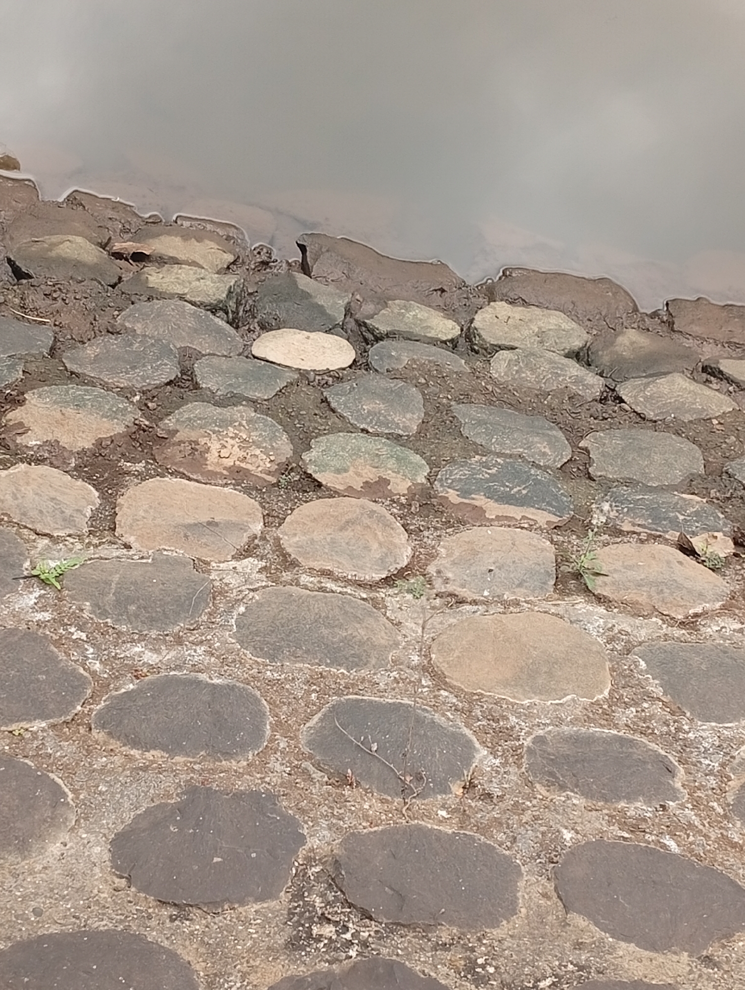 A close-up, high-angle shot shows a cobblestone path next to a body of water. The cobblestones are irregular in shape and size, varying in color from dark gray to light tan. Some of the stones appear wet, suggesting proximity to the water. The water itself is a light, cloudy gray and takes up the top portion of the frame. The scene is in an outdoor environment, likely a park or waterfront area. There are no people or animals visible.