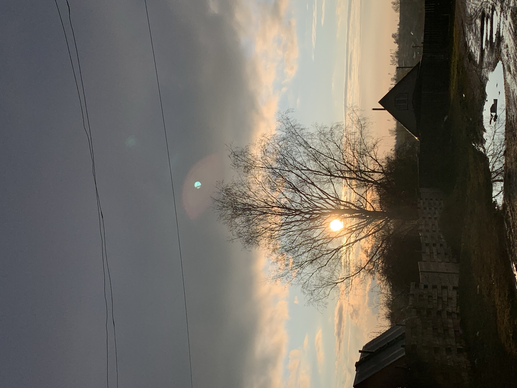 The image depicts a rural or semi-rural landscape during either sunrise or sunset. The sky is a prominent feature, distinctly divided: the left side is dominated by a heavy, dark grey cloud mass, while the right transitions into bright hues of yellow, orange, and light blue, with scattered, wispy clouds.
The sun is visible, low in the sky, positioned directly behind a large, bare deciduous tree. Its intense glow creates a prominent lens flare and silhouettes the tree's intricate, leafless branches against the bright backdrop.
The foreground consists of muddy, uneven ground with several puddles reflecting the sky's light. To the right, a dark, simple house or shed with a triangular roof stands silhouetted. Further to the left, a structure resembling a low wall or dilapidated building constructed from irregularly stacked concrete blocks or bricks is visible. In the distant background, faint outlines of trees or buildings can be seen on the horizon.
Several thin, dark power lines stretch diagonally across the upper left portion of the sky. No people or explicit activities are visible in the scene. The overall atmosphere is serene, characteristic of a quiet dawn or dusk in a rustic setting. There is no visible text. The scene is located in Фоки, Russia.