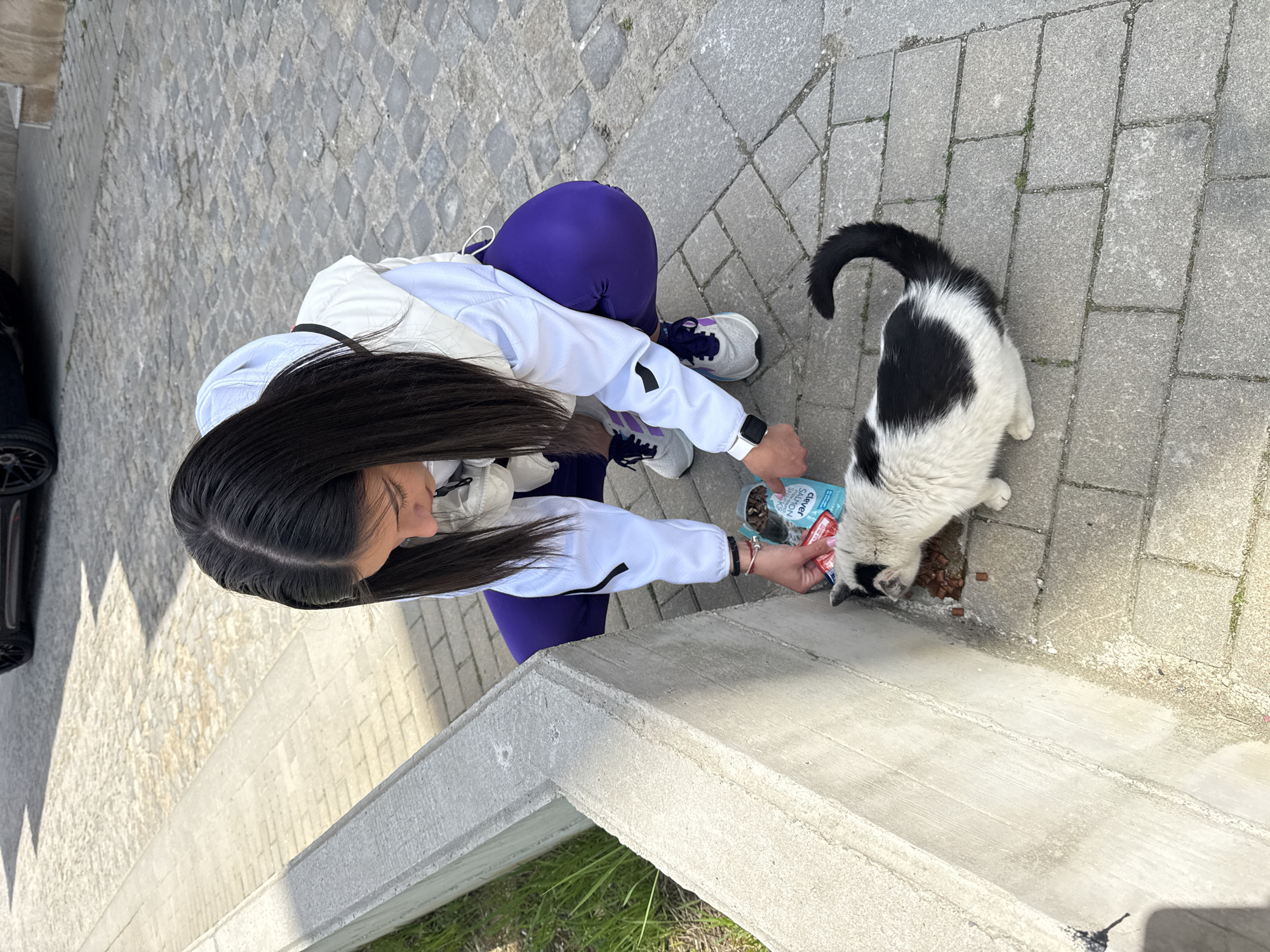 A high-angle shot depicts a woman feeding a black and white cat on a paved surface. The woman is squatting, wearing purple leggings, a white jacket with black trim, and gray sneakers. She is holding a blue and red package of cat food and pouring it onto the ground for the cat to eat. The cat is positioned near the concrete edge of what appears to be a step or low wall. The location appears to be outdoors, likely in an urban setting, suggested by the paving stones and the edge of a car visible on the left. The city of Gabrovo, Bulgaria is not explicitly identifiable from this image alone.