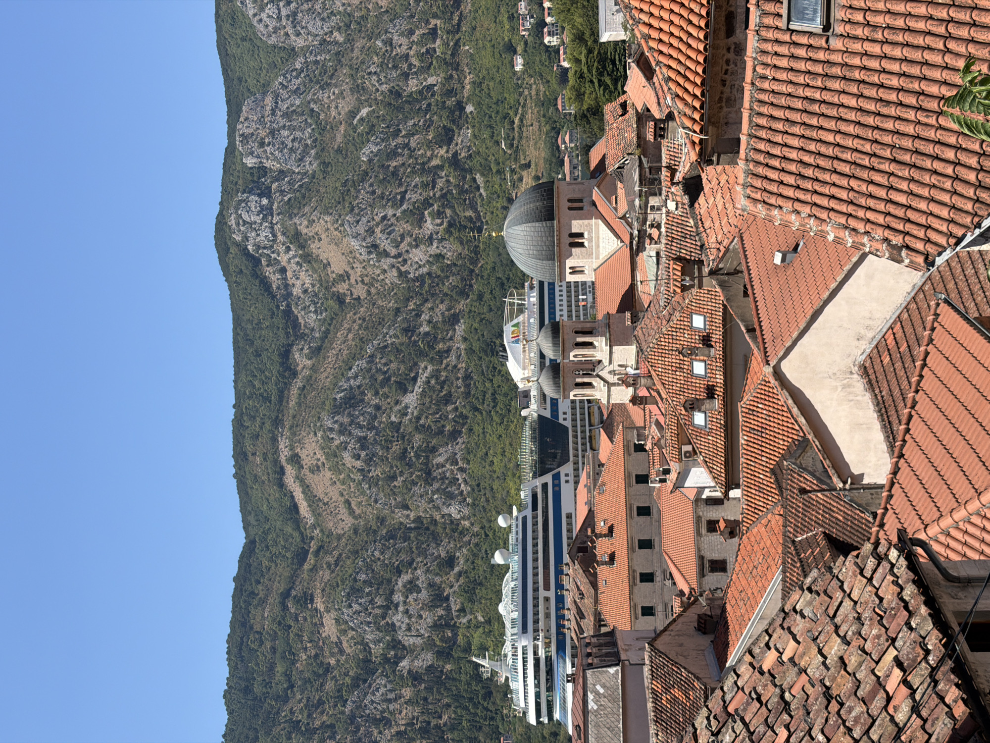 The image depicts a panoramic view of the city of Kotor, Montenegro, on a clear, sunny day. In the foreground, the iconic terracotta tile roofs of the old town dominate the scene, showcasing a dense urban landscape of historical buildings. Among the rooftops, the distinct dome and bell towers of a church, likely Saint Tryphon's Cathedral, are visible. In the midground, two large cruise ships are docked in the bay, dwarfed by the lush green mountains that rise steeply behind the city. The mountainside is dotted with sparse vegetation and rocky outcrops, and a few scattered houses are visible on the lower slopes. The sky above is a clear, vibrant blue. The overall impression is of a historic coastal city nestled against a dramatic natural backdrop.