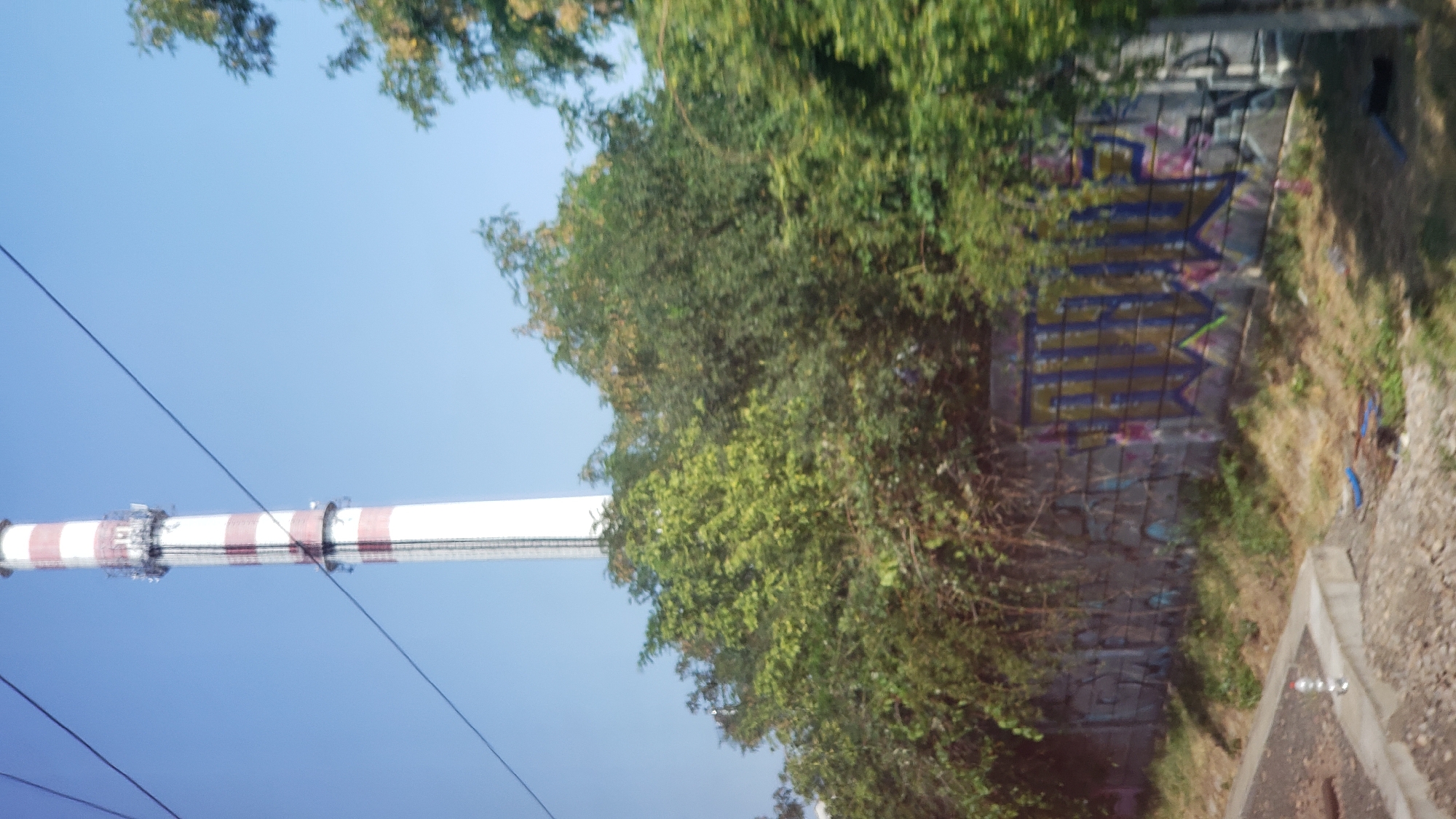In Trnava, Slovakia, a tall, red and white striped industrial chimney pierces a clear blue sky. The chimney is surrounded by lush green trees and foliage, some of which obscures the lower portion of the structure. A concrete wall, covered in colorful graffiti, runs horizontally in the foreground, partially hidden by overgrown vegetation. Several strands of power lines are visible, crisscrossing the sky and extending from the left side of the frame towards the chimney. A plastic bottle rests on a concrete ledge to the left of the frame, near a patch of gravel and debris.