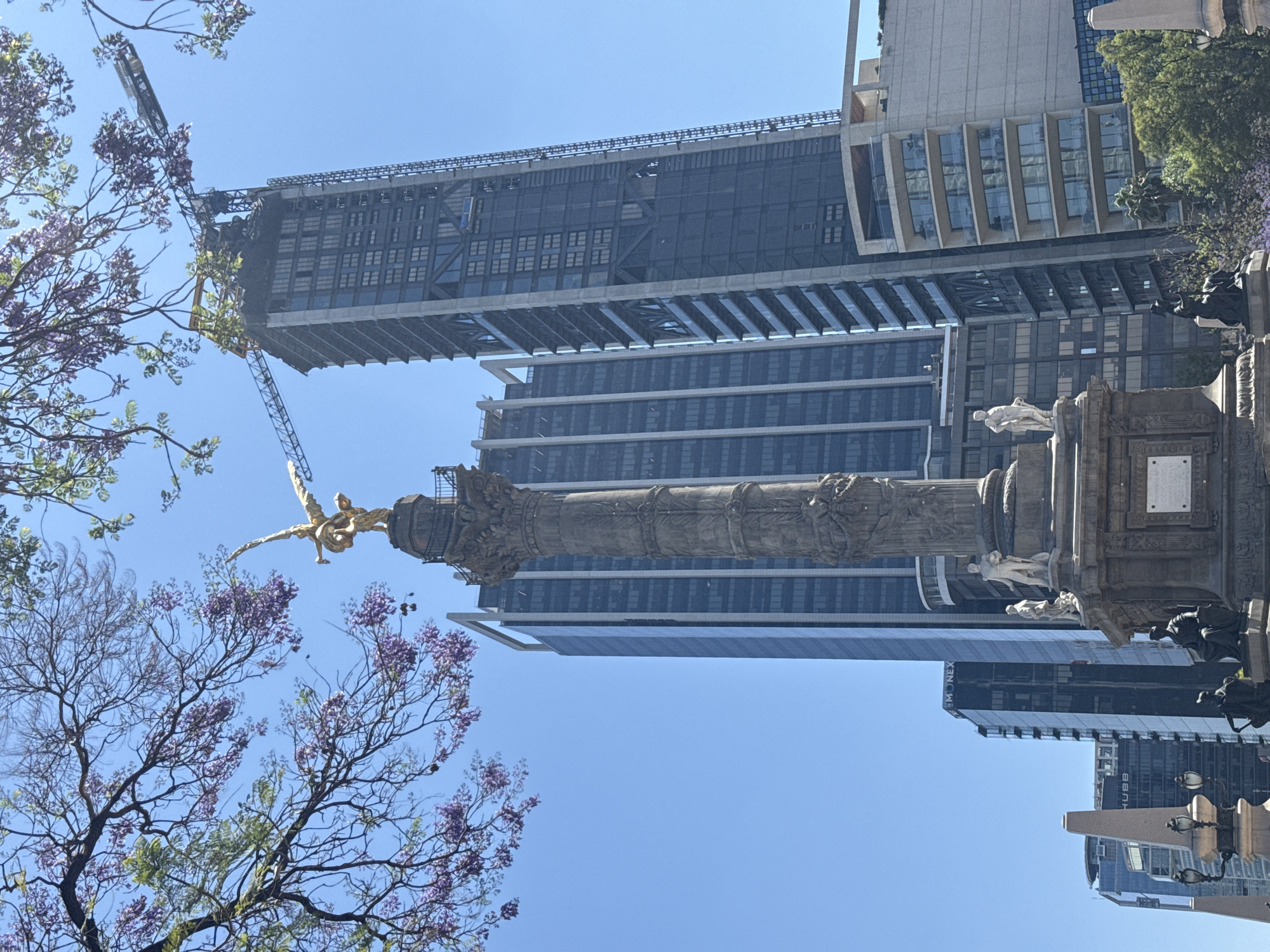 The image shows the Angel of Independence monument in Mexico City, Mexico. The monument stands on a pedestal, with the golden Angel figure at the top. In the background are modern high-rise buildings, some under construction, with construction cranes visible. Flowering jacaranda trees with purple blossoms are in the foreground and partially obscure the view of the monument and buildings. The sky is blue.