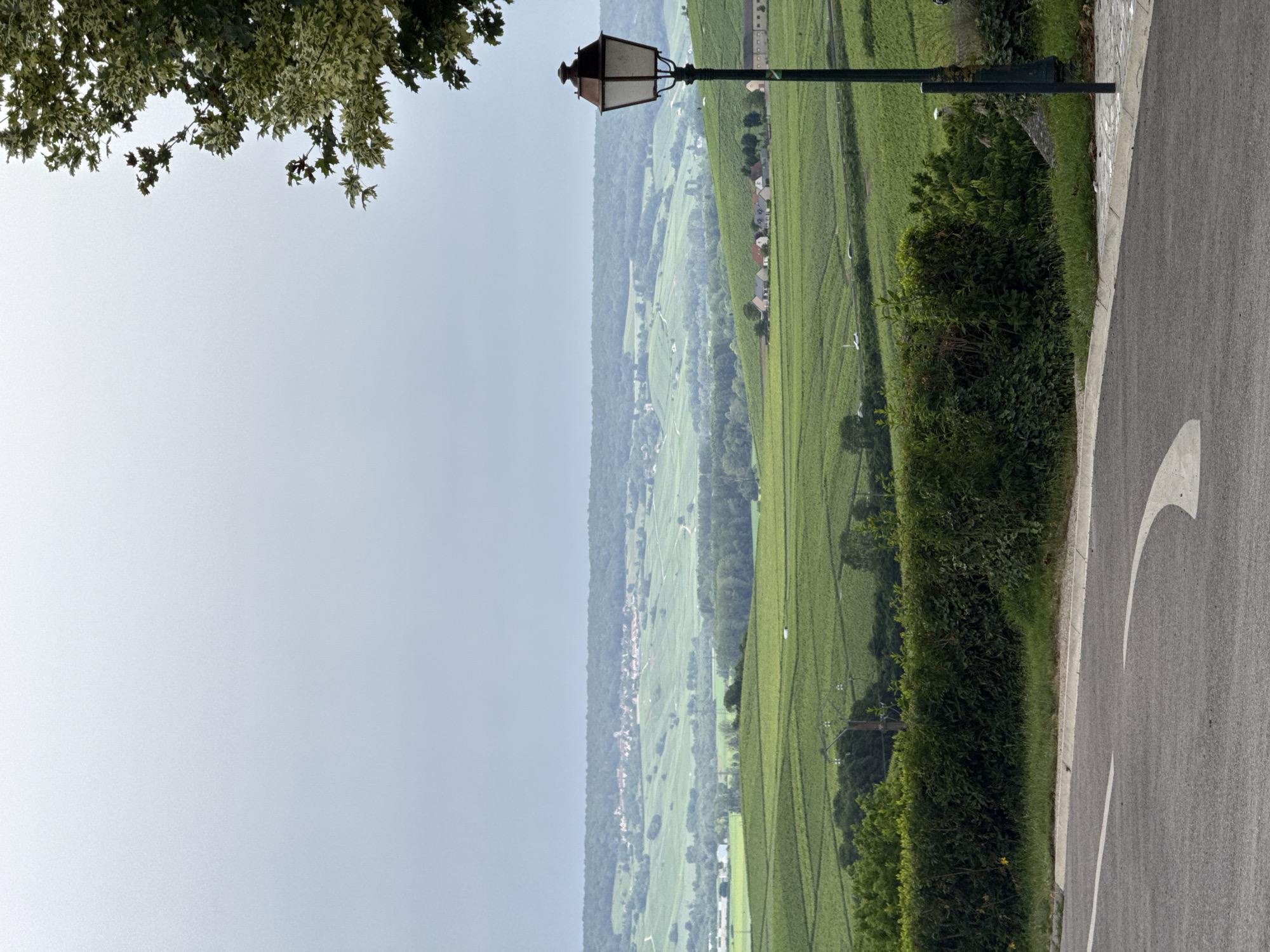 An expansive panoramic view captures a vast agricultural landscape, likely vineyards, under an overcast or hazy sky. The image is taken from an elevated perspective, looking down and across a wide valley.
In the immediate foreground, on the right side, a paved road with a white painted arrow (partially visible) curves away. A green, well-maintained hedge runs alongside the road. Standing prominently on the right is a black street lamp with a reddish-brown, lantern-style top. In the upper left corner, the green and variegated leaves of a tree extend into the frame, partially obscuring the sky.
The middle ground and background are dominated by rolling hills covered in meticulously arranged rows of green crops, characteristic of vineyards. These fields stretch far into the distance, interspersed with patches of darker forest and scattered smaller buildings that form a distant village nestled within the landscape. The furthest background is characterized by a hazy horizon line where the land meets a pale, overcast sky.
The scene suggests a quiet, rural setting, likely during daytime given the ambient light, though the exact time is obscured by the lack of direct sunlight. The overall atmosphere is one of peaceful natural beauty and agricultural abundance, consistent with a wine region like Champillon, France. No distinct human activity is visible, and no discernible text is present other than the partial road marking.