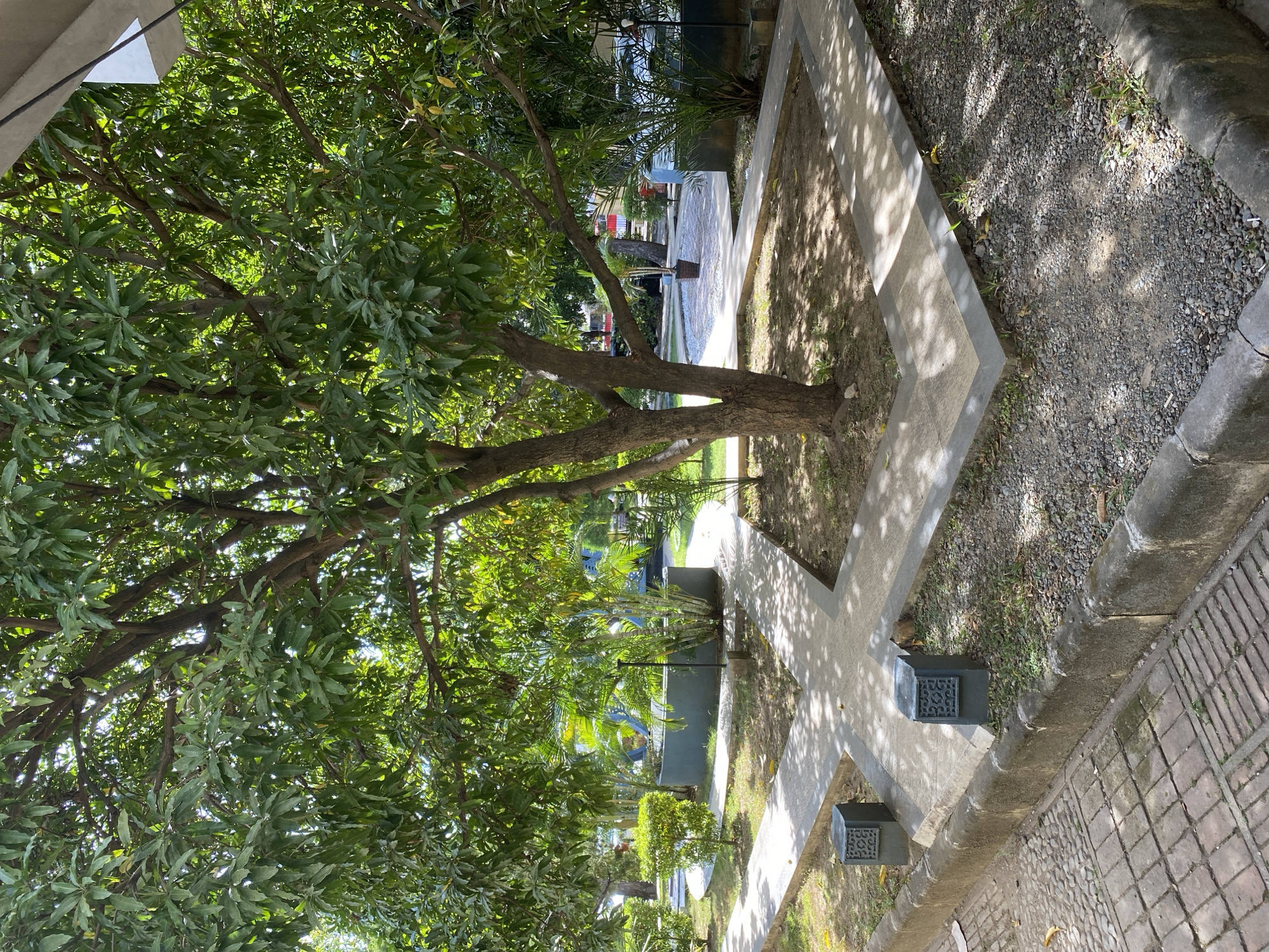 The image depicts an outdoor scene in a park-like setting with a large tree in the foreground. The tree has a thick trunk and a canopy of green leaves, casting shadows on the ground. A paved pathway winds through the area, with sections of concrete and gravel. There are several decorative planters and low walls, as well as some bushes and smaller trees. In the background, there are glimpses of buildings and parked cars, suggesting an urban or suburban environment. The lighting indicates it is daytime, with sunlight filtering through the leaves. Two small, dark square structures with decorative patterns are visible near the pathway in the lower left portion of the image.