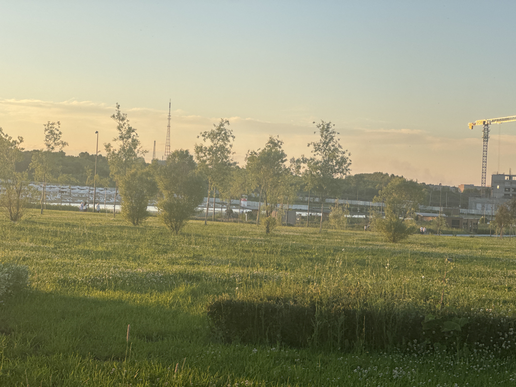 The image shows a sunlit park with a grassy field in the foreground, dotted with small white flowers. Several young trees are sparsely planted across the field, casting shadows from the low-angled sunlight. In the middle ground, a row of larger trees forms a line, behind which are visible structures that appear to be part of a park infrastructure or construction site, including a tall, lattice-like tower and a large yellow construction crane on the right. The sky is clear with a pale yellow and blue gradient, suggesting either sunrise or sunset. The scene is likely located in Magnitogorsk, Russia, given the presence of industrial elements like the tower and crane, which are characteristic of the city's landscape.