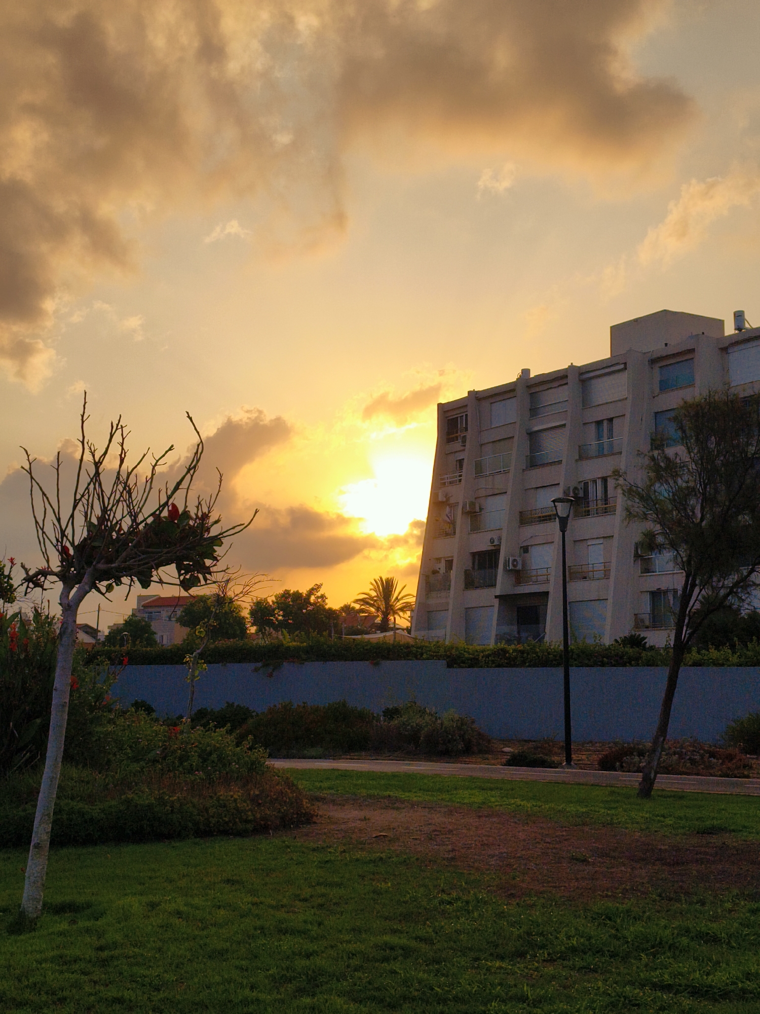 The image captures a sunset in Nahariyya, Israel, with a modern apartment building as a prominent subject. The building, with its distinctive diagonal structural elements, is situated behind a blue wall and lush vegetation. A streetlamp stands near the building. In the foreground, a park area features green grass, a path, and a leafless tree with red flowers. The sky is filled with dramatic orange and yellow clouds, illuminated by the setting sun. A palm tree is visible on the left side of the frame. No people are present in the scene.