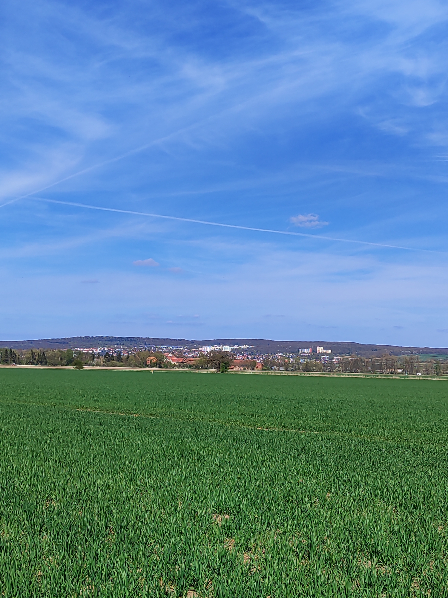 A wide shot depicts a vibrant green field of young crops under a bright blue sky with contrails. In the mid-ground, a treeline and buildings delineate the horizon, suggesting the edge of a town or city. The location is unknown, as no specific details indicate the city or region.