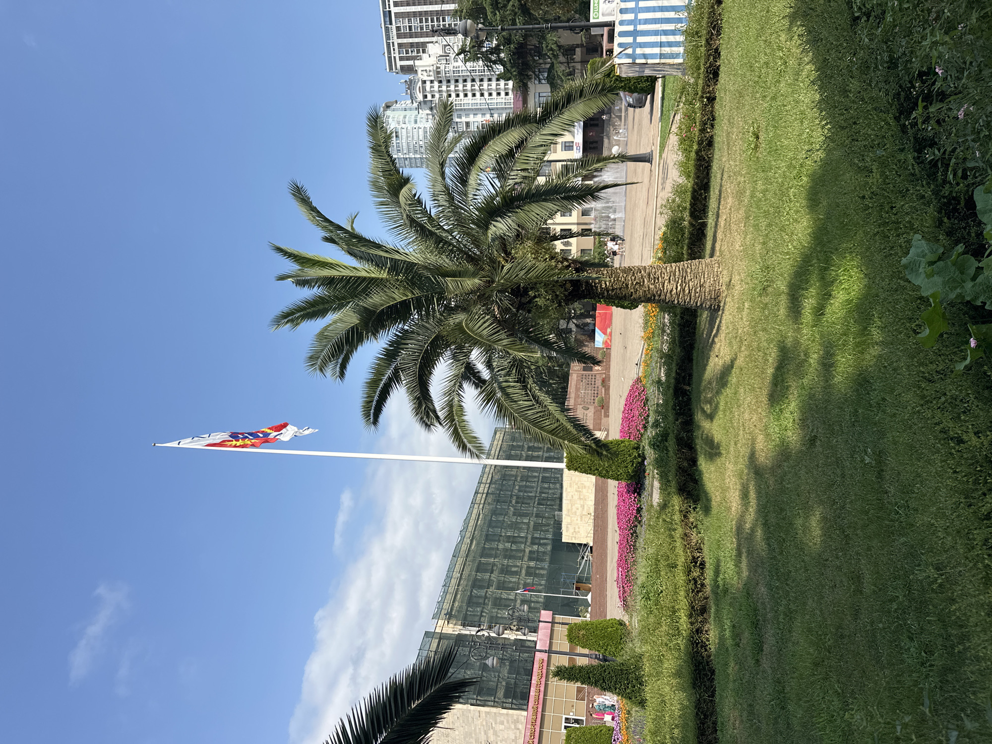In Sochi, Russia, a scenic view unfolds with a prominent palm tree in the foreground. Behind it, a large building, possibly under renovation, is covered in green netting. A flag flies high on a flagpole beside the building. The background reveals modern high-rise buildings, a fountain with people gathered around, and lush greenery. The scene is bathed in sunlight, casting shadows on the neatly manicured lawn.