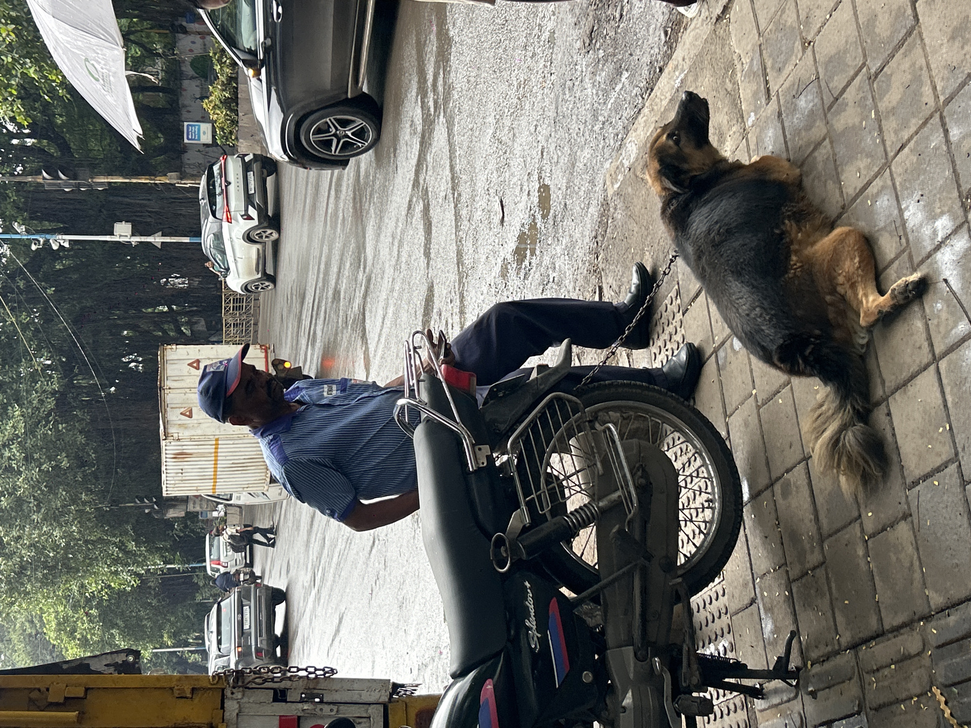 A man wearing a blue striped shirt and a blue cap with an "HP" logo is seated on the ground next to a black motorcycle. He is looking to his right. A brown and black dog is lying on the pavement in front of the motorcycle, connected to the man by a chain. The motorcycle's kickstand is deployed. In the background, there are cars on a wet road, suggesting it may have rained recently or is about to rain. The man appears to be a delivery person or service technician. The overall scene depicts a man and his dog waiting on a street, possibly in an urban area. Based on the "HP" logo, which is associated with Hindustan Petroleum, a major oil and gas company in India, and the general urban streetscape with a mix of vehicles and pedestrian infrastructure, the location is likely a street in Pune, India.