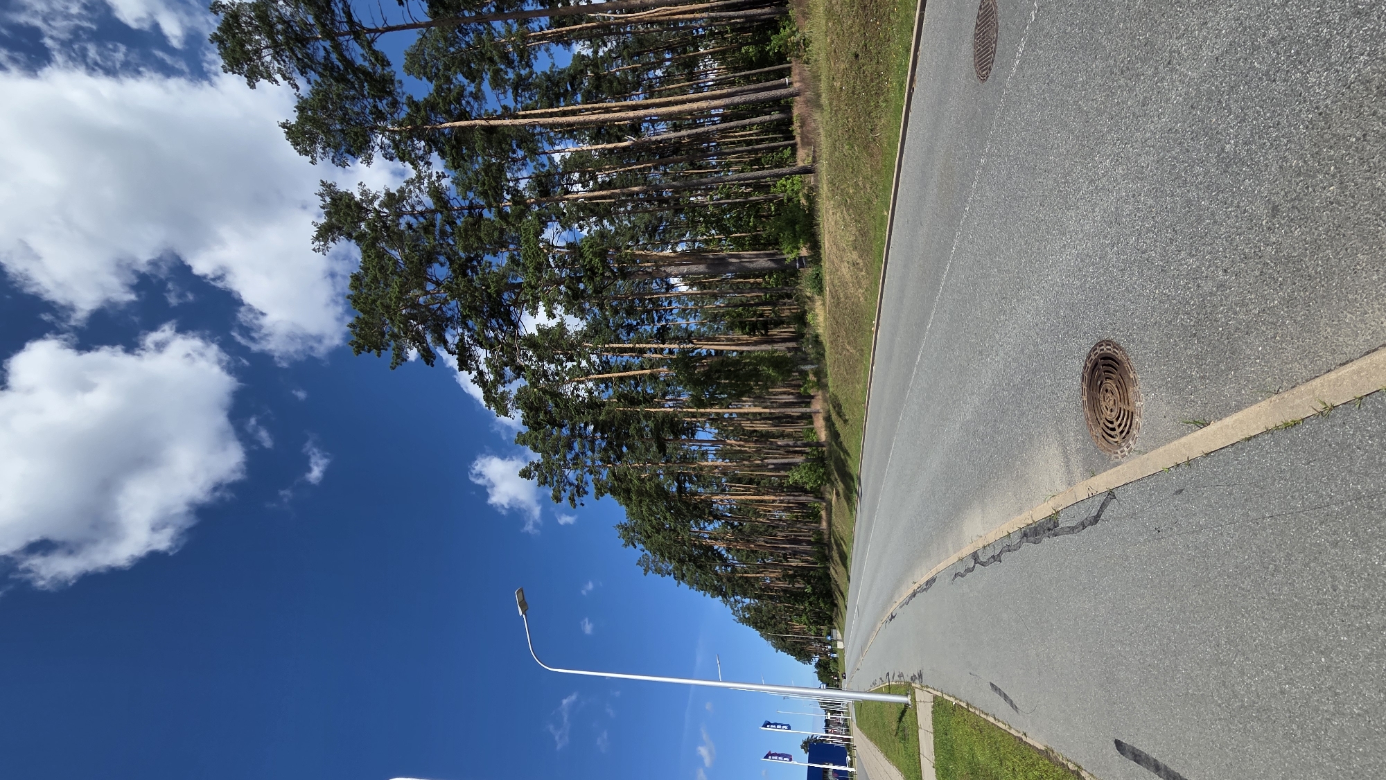 The image shows a straight, paved road lined with tall pine trees on the right and a sidewalk and streetlights on the left. The sky is bright blue with fluffy white clouds. In the distance on the left, there are some flags and buildings, including what appears to be an IKEA store. The road has a manhole cover visible in the foreground. The overall scene suggests an urban or suburban area adjacent to a forest. This location is likely near the IKEA store in Riga, Latvia, as indicated by the flags and the presence of an IKEA store in the image.