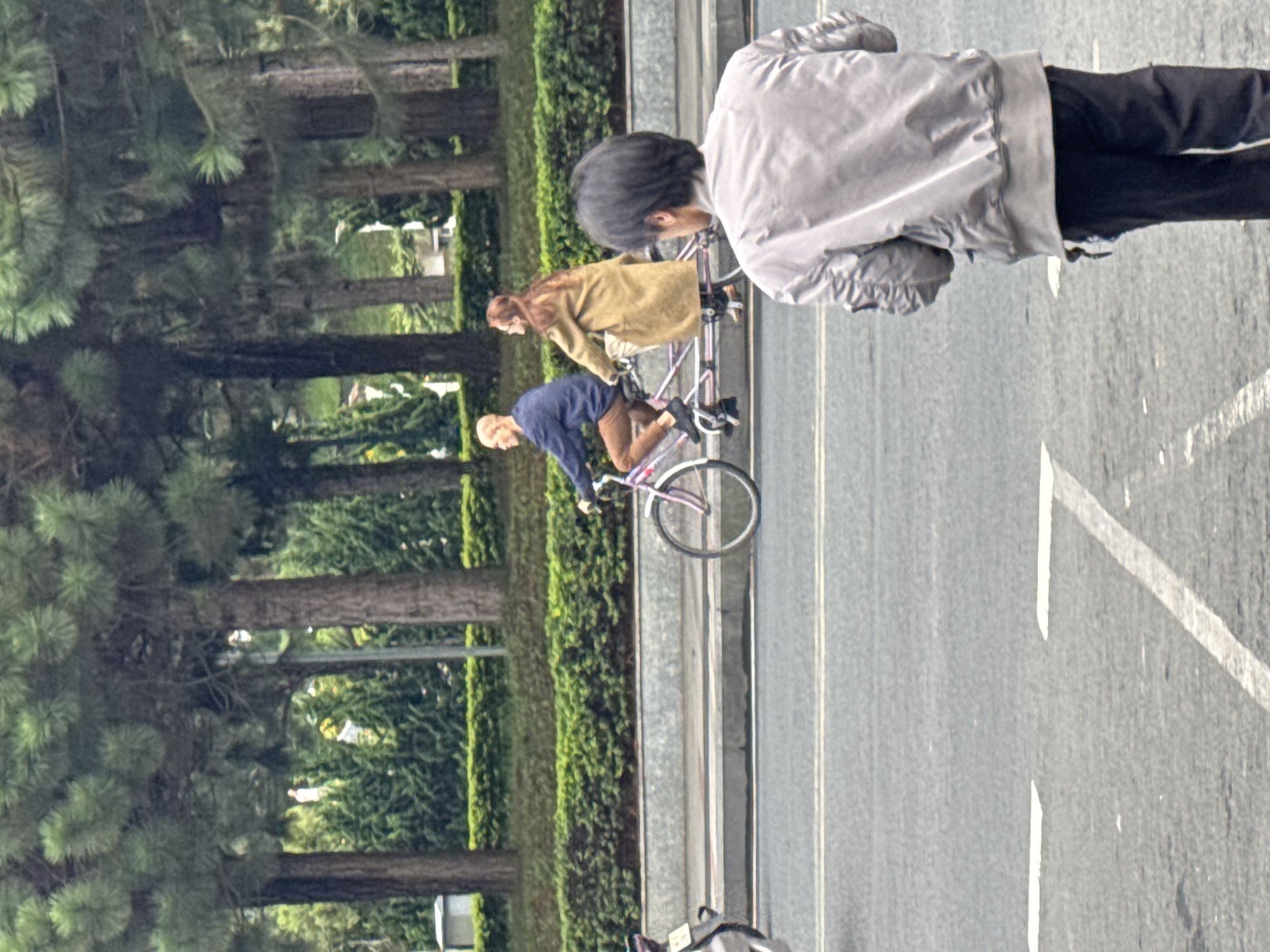 A low-angle, medium shot captures a tandem bicycle being ridden by two individuals. The male rider, in the front, wears a blue long-sleeved shirt and brown trousers. The female rider, in the back, is dressed in a tan overcoat. The bicycle has a pink frame and a white seat. Behind the bicycle, a line of manicured green bushes borders a concrete barrier. Beyond the barrier, tall pine trees with green foliage form a dense backdrop. The foreground shows a man with dark hair, facing away from the camera, wearing a grey bomber jacket and dark trousers. He is standing on a paved street marked with white lines. The scene is set in Da Lat, Vietnam, suggested by the distinct architecture of the buildings in the background and the prevalent use of tandem bicycles as a mode of transport in the city. The overall atmosphere is mundane and urban.