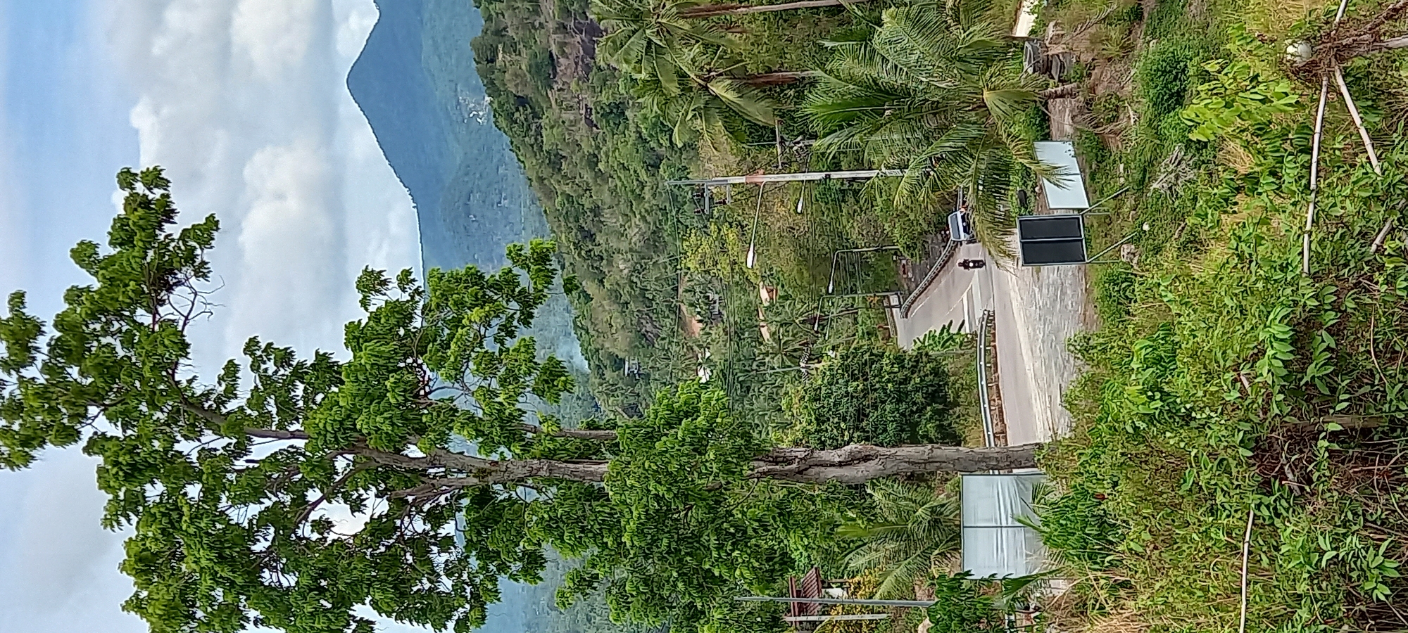 The image shows a road scene in Baan Tai, Thailand, with a lush, green hillside rising in the background. A gray, winding road cuts through the landscape, with a single motorcycle visible moving along it. Street lamps line the road, indicating it is a public thoroughfare. Large, green trees dominate the foreground, partially obscuring the view. Patches of dense foliage and tropical plants fill the periphery of the road. In the far distance, a mountain range is visible beneath a cloudy sky.