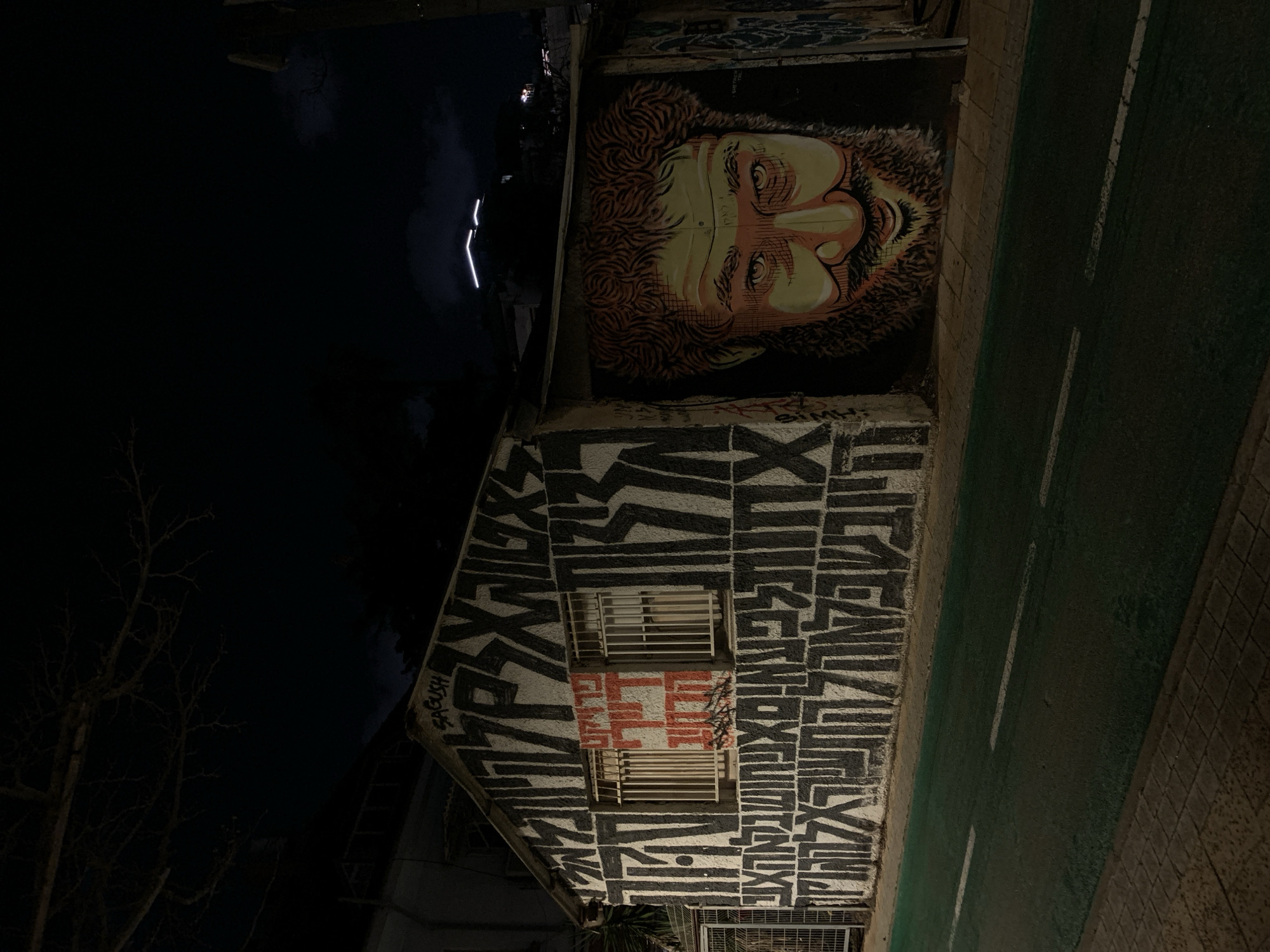 This nighttime image depicts a single-story building in Tel-Aviv, Israel, covered extensively with graffiti. The building features a gabled roof and stuccoed walls. Its front facade is dominated by large, blocky black Hebrew characters painted directly onto the white wall. Two rectangular windows with vertical white security bars are centrally located on this facade. Over and around these windows, additional Hebrew text is visible in red, specifically "פרזיט דיורי הורים ירושלים" (Parasite dweller parents Jerusalem), overlaying the black script. The name "SAGUSH" is tagged in black at the top left of the roofline.
The right side of the building displays a large, colorful mural of a man's head, characterized by a prominent reddish-brown beard, curly reddish-brown hair, and a smiling expression. The facial tones are yellow and orange. The ground in the immediate foreground consists of a dark green asphalt path, likely a bicycle lane, marked with dashed white lines, bordered by a paved stone sidewalk. Overhead, dark, bare tree branches are visible against a dark night sky. In the distant background, a taller building can be seen with distinct horizontal white illuminated lines on its upper structure. No individuals or active events are present in the scene. The primary light source illuminates the building and the foreground, contrasting with the dark background.
