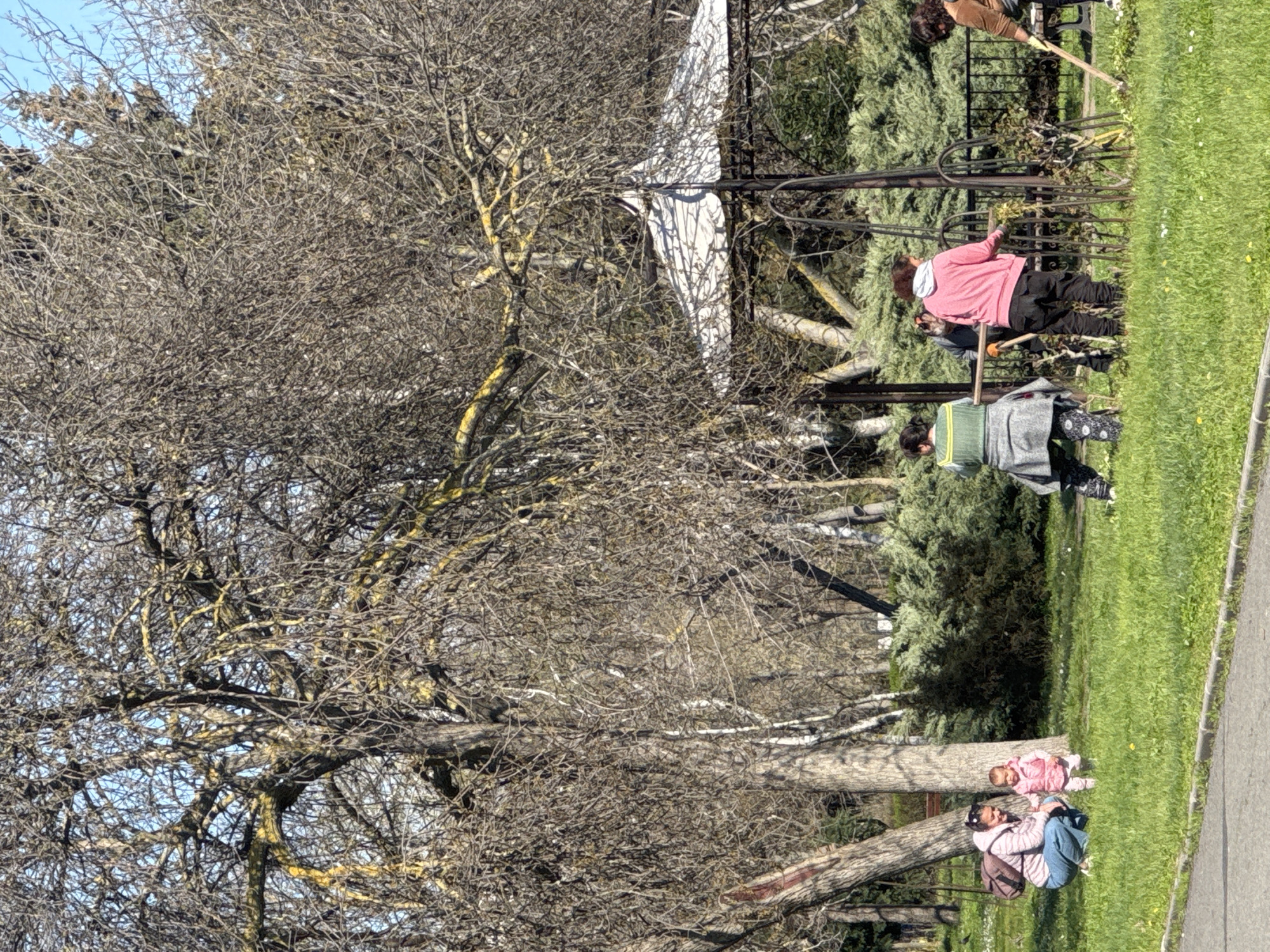 The image shows an outdoor scene in a park setting. A large, bare tree with many branches dominates the left side of the frame, its branches interwoven and creating a dense network against the sky. Underneath the tree, near the ground, are two individuals: an adult and a small child. The adult, wearing a striped shirt and jeans, sits on the ground and the child, wearing a pink outfit, is near her, possibly playing.
To the right of the tree, there is a grassy area. In the background, several people are engaged in what appears to be park maintenance or gardening activities. Some are wearing brightly colored clothing (pink, green) and are working with tools, possibly rakes.
A black metal fence or decorative structure is visible behind the people working in the park. The scene is well-lit, suggesting it is daytime.
The location is likely a public park in Burgas, Bulgaria, indicated by the style of the structures.