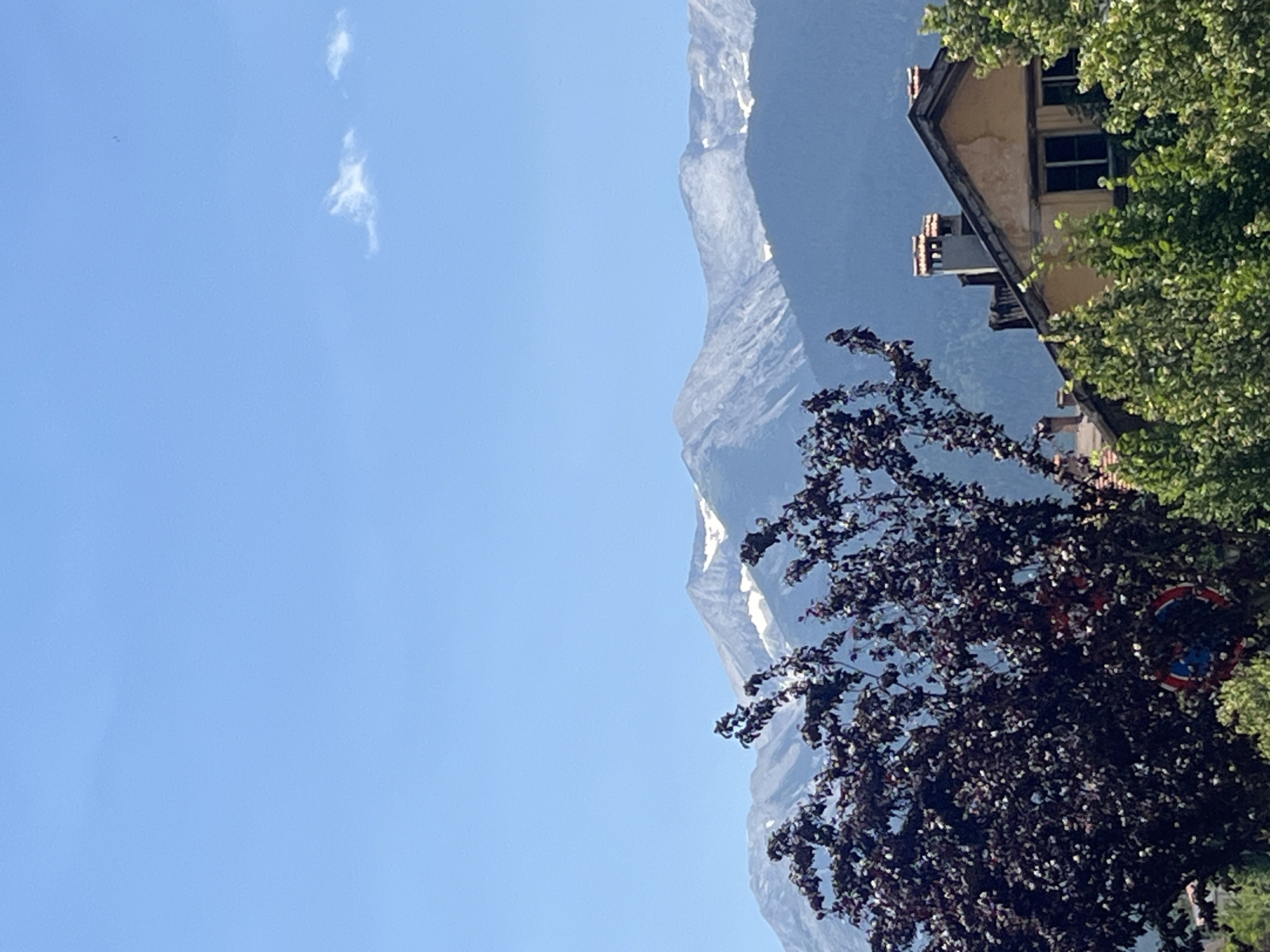 The image depicts a scenic view of mountains behind a residential area. In the foreground, a dark-leaved tree with small white flowers dominates the left side, partially obscuring a red and blue circular road sign. To the right, the roofline of a building with terracotta tiles and two chimneys is visible, nestled amongst lush green trees. The background is a majestic mountain range, with snow-capped peaks piercing a clear blue sky dotted with a few wispy white clouds. The overall scene suggests a peaceful day in a mountainous region, likely Bansko, Bulgaria, given the context.
