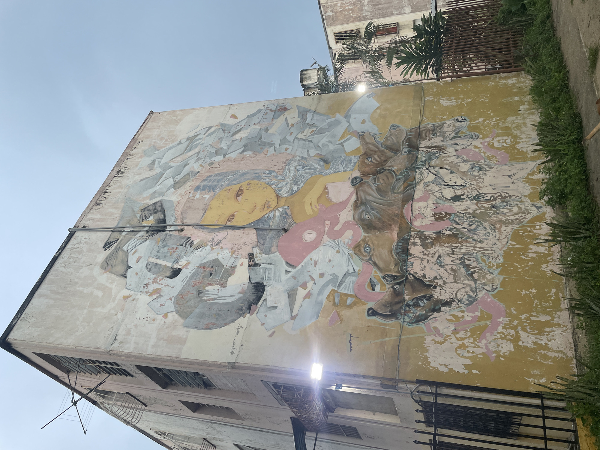 A mural adorns the side of a light pink, multi-story building in Maracay, Venezuela. The artwork features a young woman with yellow skin and dark hair, framed by abstract shapes in shades of gray, white, and pink. Below her, a group of dogs with bared teeth appear to be emerging from a textured, peeling section of the wall. The building has louvred windows and an antenna on its roof. In the foreground, a black metal fence separates the building from a patch of green grass. Another similar building is visible in the background, along with palm trees. A bright light fixture is mounted on the side of the building, illuminating the mural.