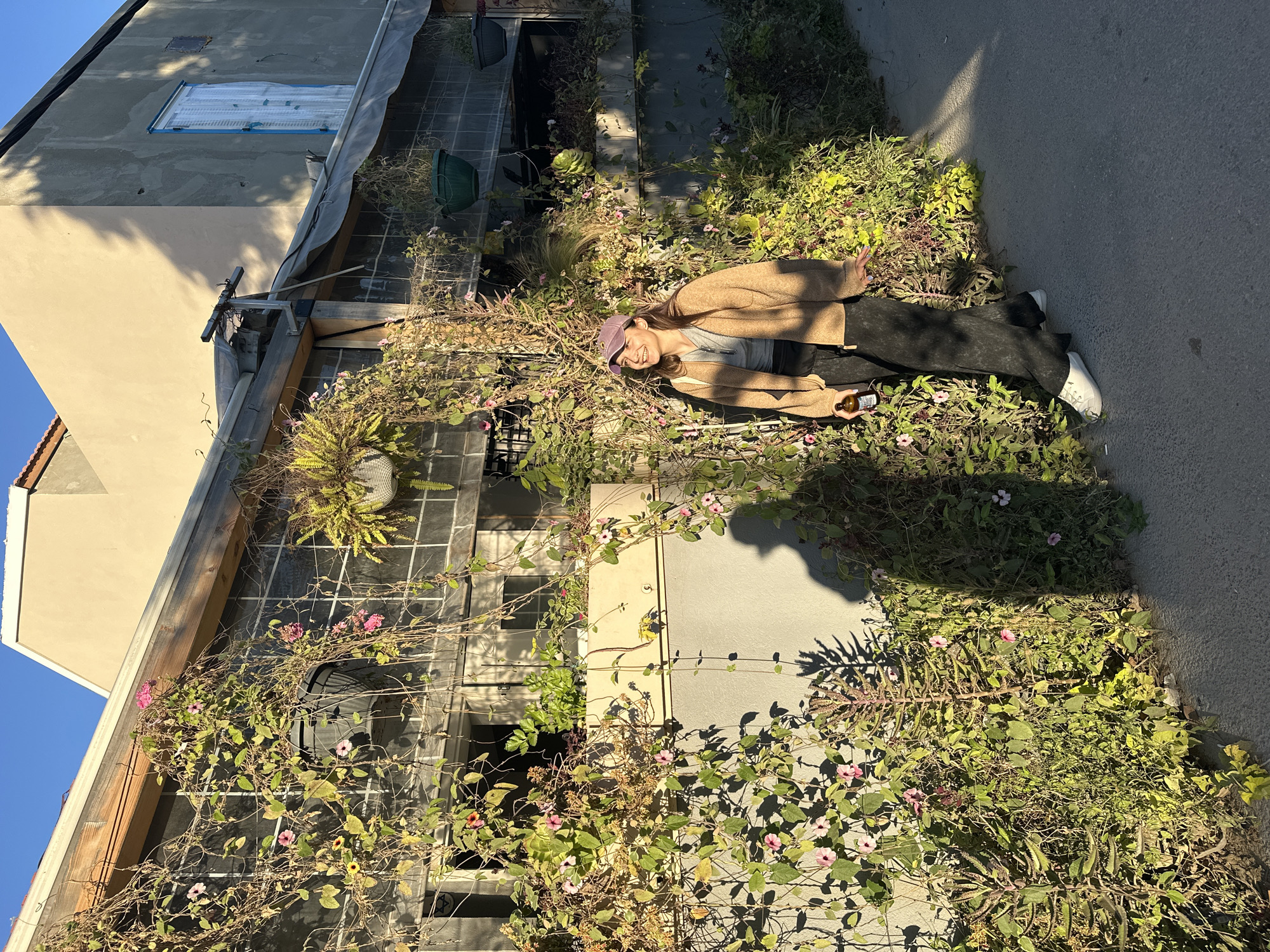 A young woman is depicted lying horizontally on her back amidst abundant green and flowering plants in an outdoor urban setting, characteristic of a garden or courtyard in Tel-Aviv, Israel. She is smiling broadly and looking towards the camera, conveying a relaxed and joyful demeanor. She is dressed in a light brown knitted cardigan over a gray t-shirt, dark pants, and white sneakers, topped with a purple baseball cap. In her right hand, she holds a dark glass bottle with a brown label.
The scene is brightly illuminated by direct sunlight, casting sharp shadows on the ground and the adjacent buildings, indicating a clear, sunny day, likely around midday. The surrounding area is densely covered with various plants, including vines with small pink and yellow flowers, and lush ground cover. Behind the woman, a multi-story, light-colored building with several windows rises. Some windows feature decorative grates or screens, while others appear to be covered with blue material, suggesting ongoing renovation or maintenance. A light gray tarp extends along a portion of the roofline. The ground consists of both dense plant beds and tiled or concrete pathways. A dark green plastic pot is visible nestled among the greenery. No discernible text is visible on any objects within the frame.