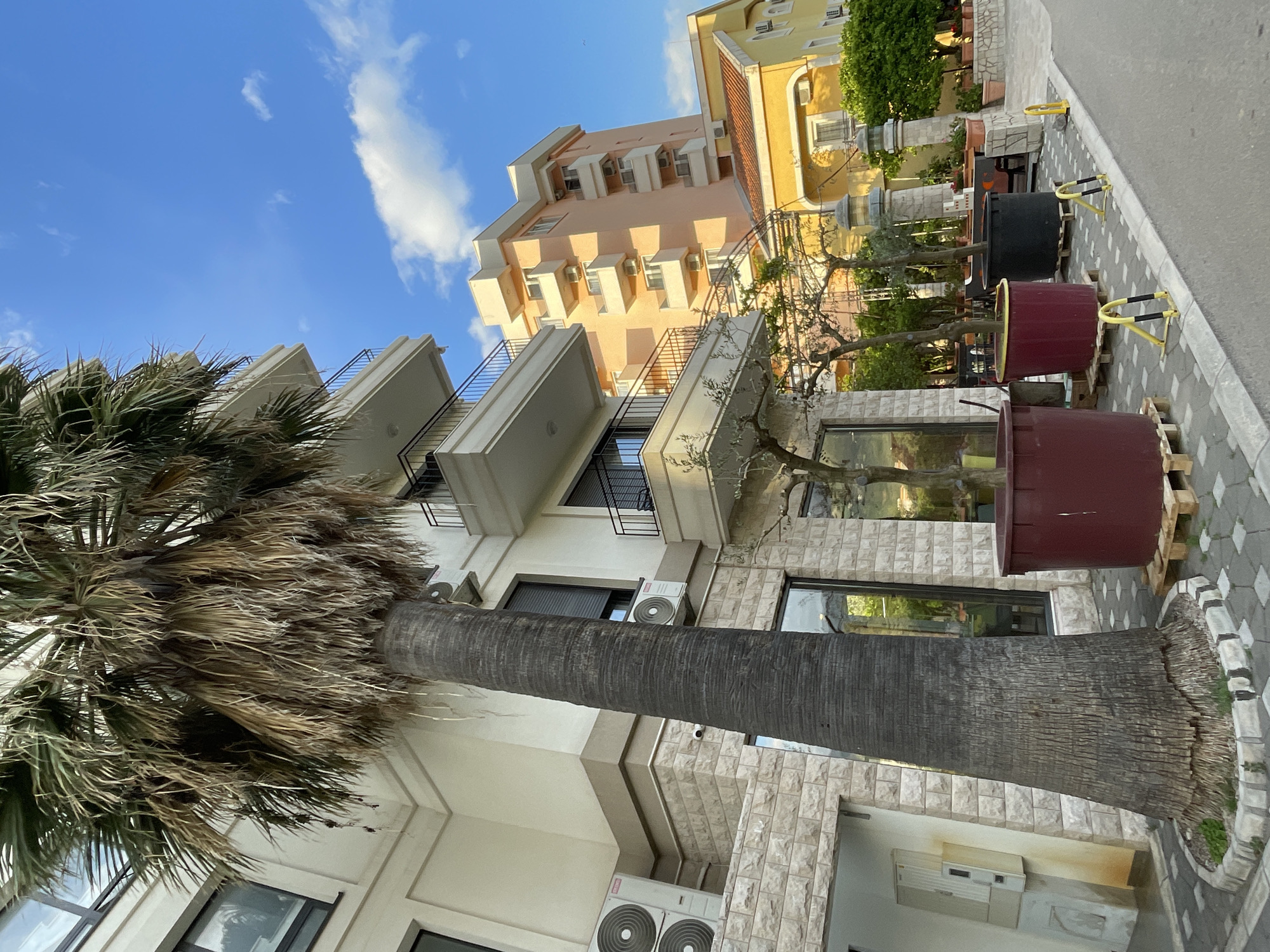The image shows a street scene in Bar, Montenegro, with buildings and landscaping. A tall palm tree is prominently featured in the foreground, with its trunk obscuring part of a multi-story building with balconies. Further down the street, there are large potted trees lined up on the sidewalk, some supported by yellow metal stands. In the background, more buildings are visible, including one with a peach-colored facade and another in yellow. The sky is blue with scattered clouds.