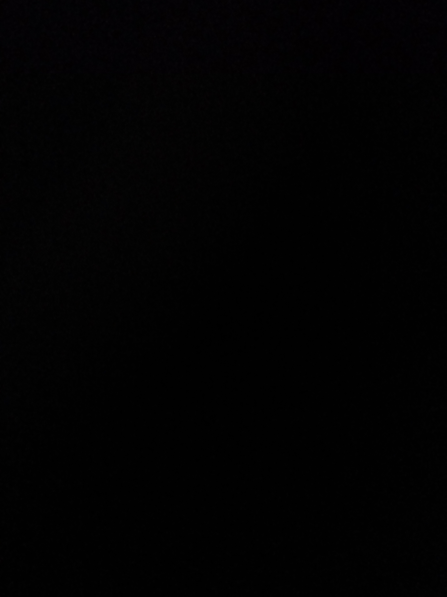 The image is a completely black rectangle. There are no discernible subjects, objects, scenes, activities, or notable details. No text is visible. The image appears to be a blank placeholder or a corrupted file.