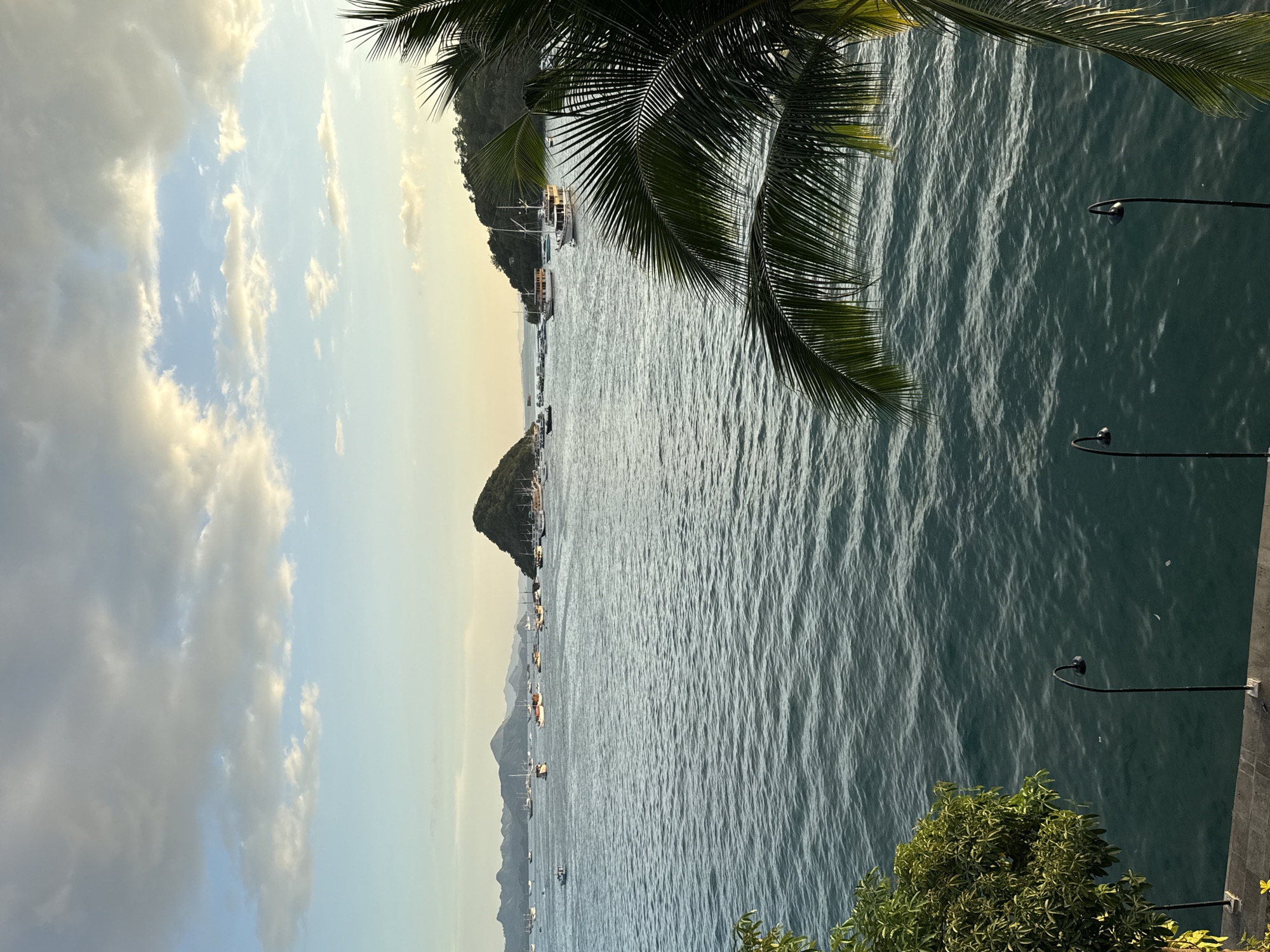 The image captures a scenic view in Labuan Bajo, Indonesia, featuring a calm sea with several boats and small islands in the distance. A palm tree's leaves frame the upper right portion of the image, and there are streetlights visible along a concrete edge on the right side, hinting at a coastal road or pathway. In the foreground, there is green foliage at the bottom. The sky is a blend of blue and light clouds, suggesting either sunrise or sunset.