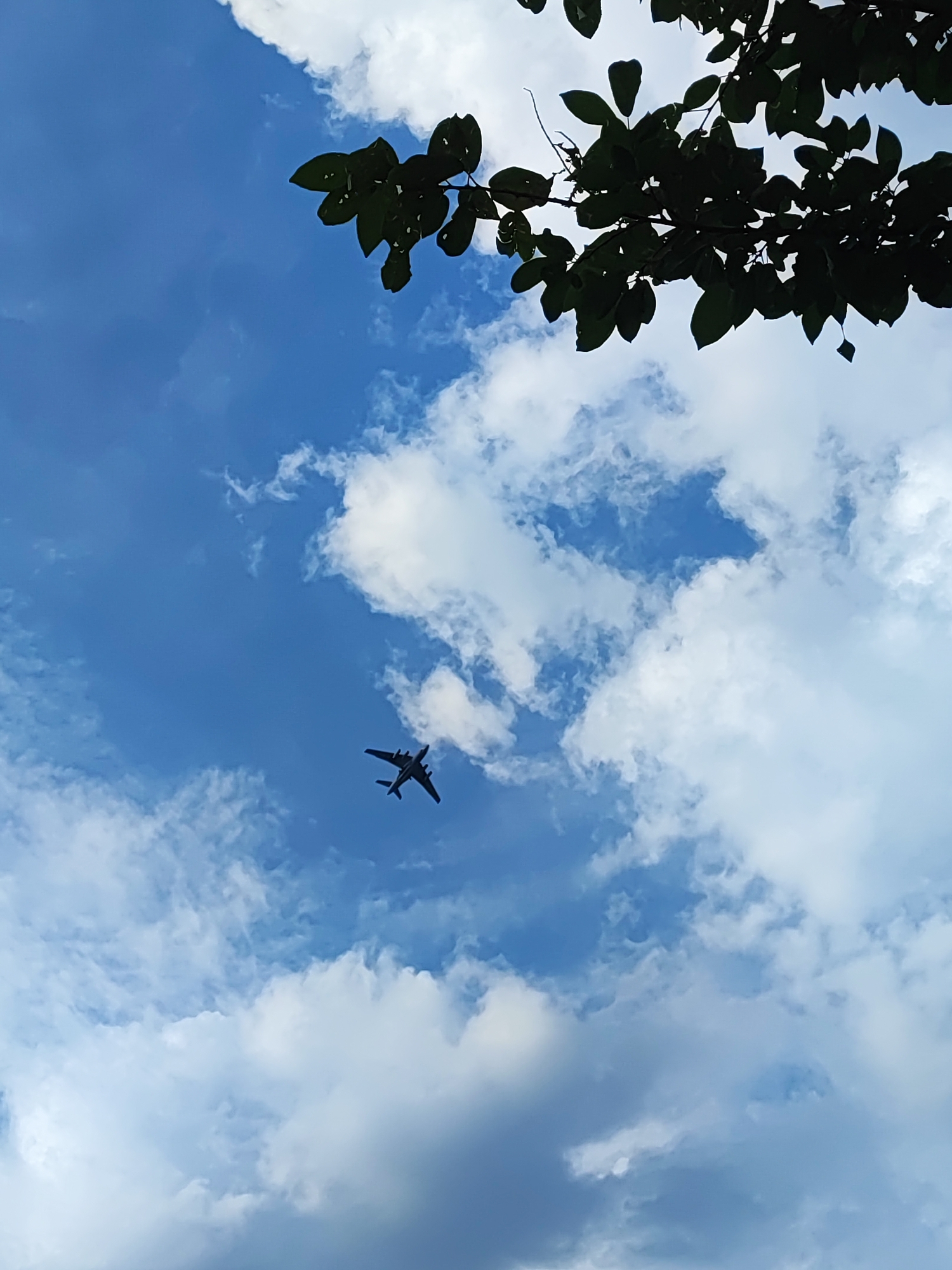 The image shows a silhouetted airplane flying in a blue sky with scattered white clouds. Dark green leaves and branches of a tree are visible in the upper part of the frame, obscuring a portion of the sky. The airplane is in mid-flight, viewed from below, with its wings and tail clearly discernible. The lighting suggests it is daytime. The image composition is a low-angle shot looking upwards. There is no discernible information in the image that indicates the specific location of Vidnoye, Russia.