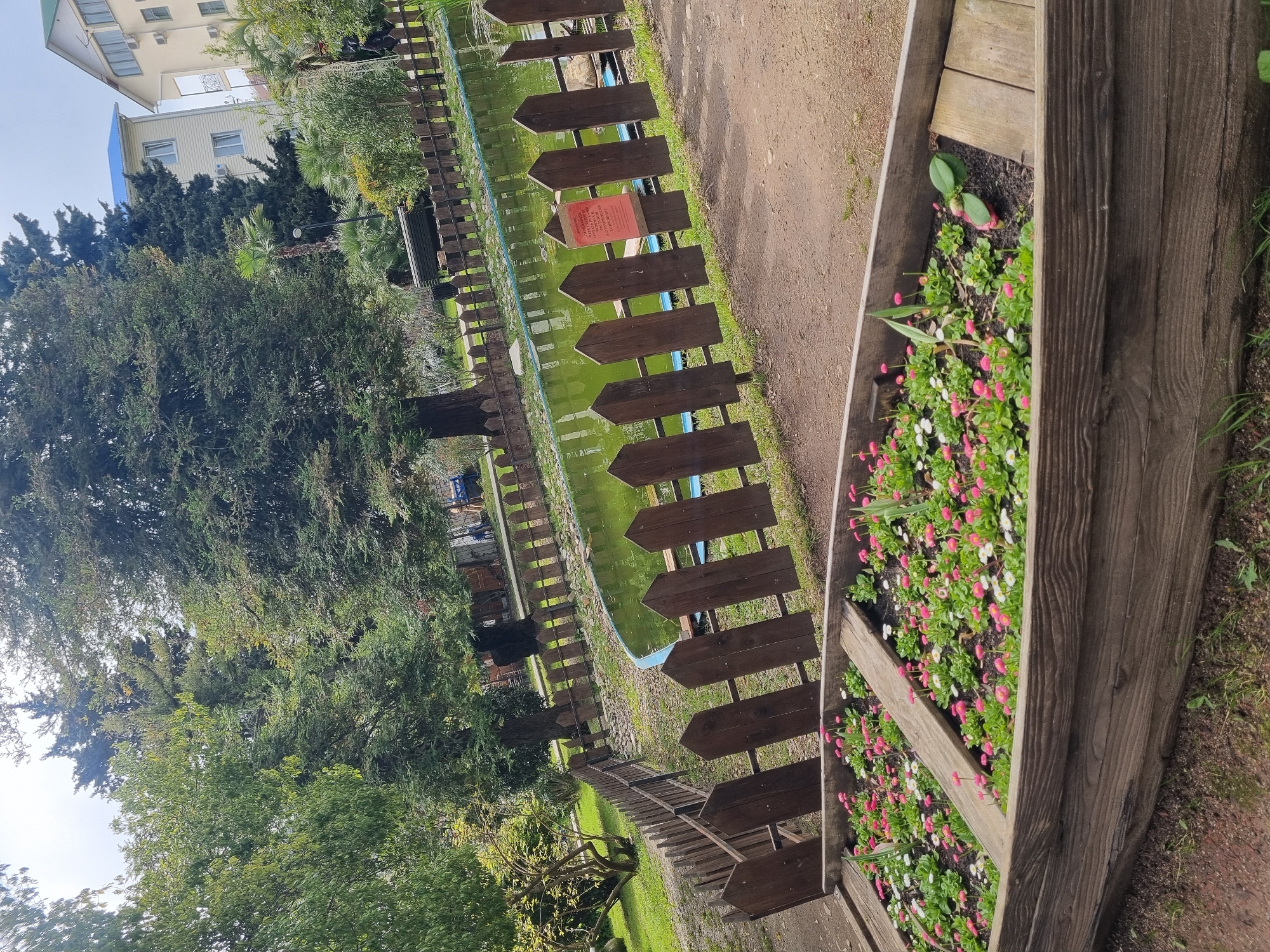 The image depicts a pond bordered by a wooden fence with arrow-shaped pickets. A wooden planter box filled with small pink and white flowers is visible in the foreground. A pathway runs alongside the pond. Lush greenery, including trees and shrubs, surrounds the pond area. A building is visible in the background. Based on the visual elements, this scene is located in Sochi, Russia, specifically within a park setting.