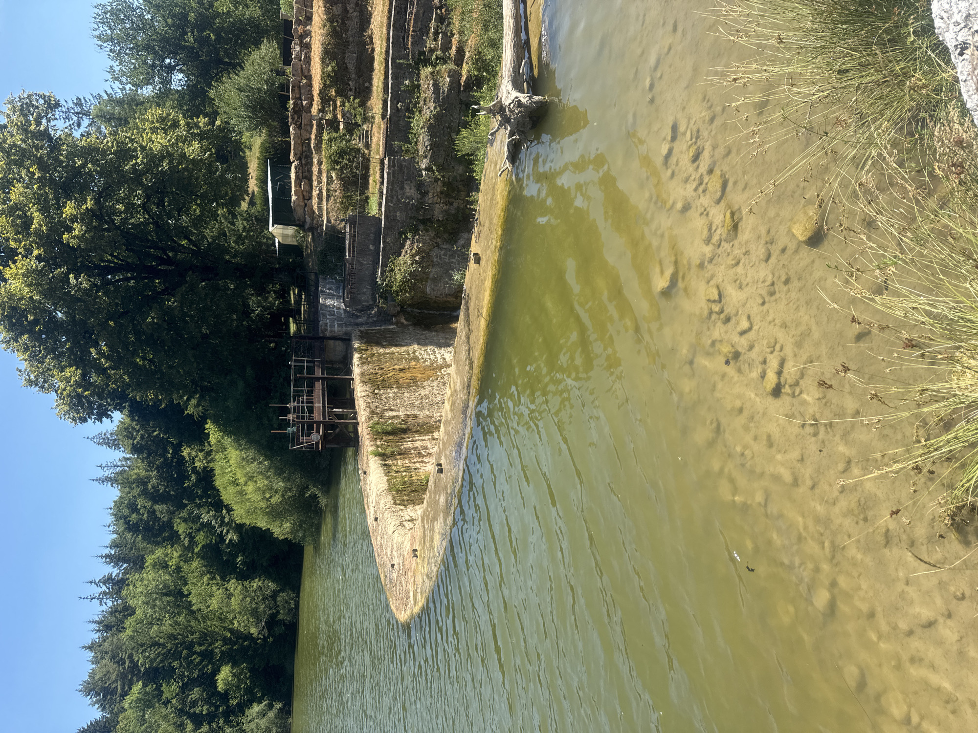 This image shows a reservoir and spillway in Coteaux du Lizon, France. The water is a murky green, with visible rocks and sediment on the bottom near the edge. A curved concrete spillway forms the foreground, with a small waterfall cascading down its face. To the right of the spillway, a dead tree trunk lies partially submerged in the water.
Behind the spillway is a metal structure that appears to be a gate or dam control mechanism. Further back, the terrain slopes upwards, covered with stone terraces and vegetation. In the distance, a dense forest of deciduous trees and evergreens borders the reservoir under a clear blue sky. No people are visible in the image.