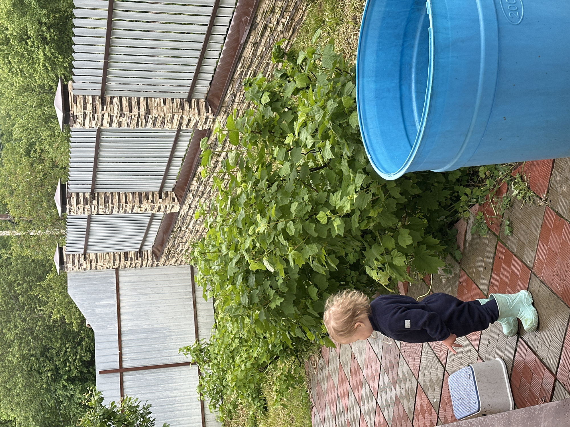 A young child in a navy blue jumpsuit and light green rain boots is standing on a patterned tile surface. The child's hands are placed on the tile, as if supporting their weight. Near the child, there is a small, rectangular, blue and white container. To the right of the child is a large, blue, plastic barrel. Behind the child, there is a lush green bush. Further back, there is a metal fence with a stone base. In the background, trees can be seen. The location is Nizhny Novgorod, Russia.