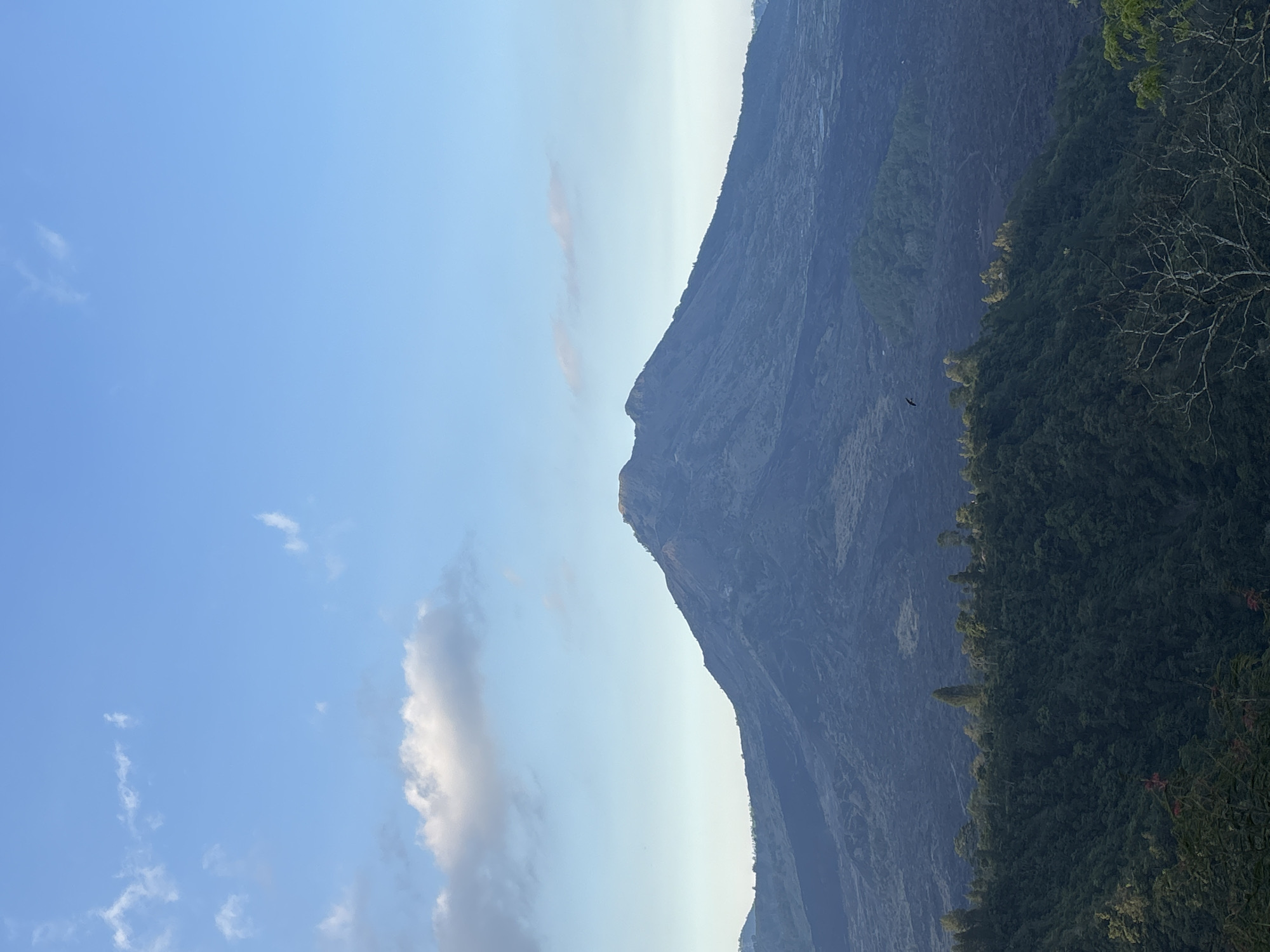 The image shows a view of Mount Batur volcano in Kintamani, Indonesia. The sky is a clear blue with a few white clouds. In the foreground, there is a lush green forest on a hillside. In the mid-ground, there are dark, rocky volcanic slopes. The volcano itself is visible in the background, with its peak partially obscured by shadow. A bird is flying in the distance over the volcanic landscape. The overall scene is serene and majestic, capturing the natural beauty of the volcanic region.