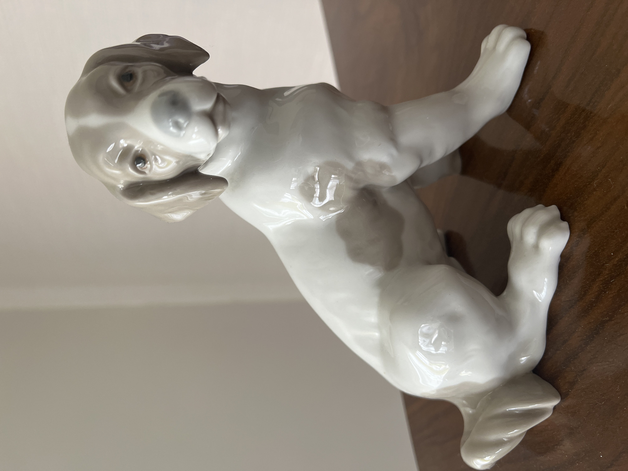 A white porcelain figurine of a dog sits on a polished wooden surface. The dog has grey markings on its head, ears, and patches on its body. Its eyes are dark and appear to be painted. The background is a plain, light-colored wall.