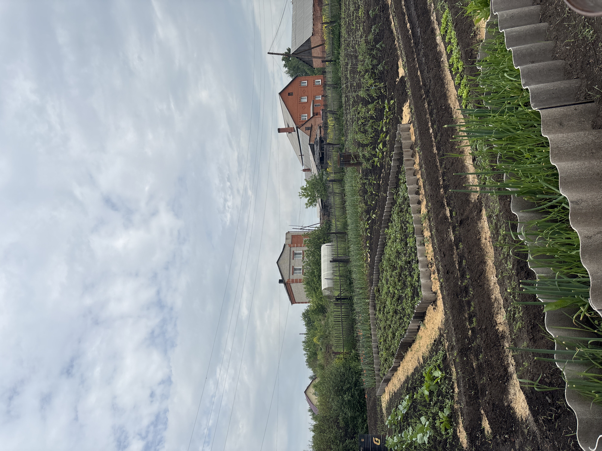 This image depicts a garden in Vishnevka, Russia, under a cloudy sky. The foreground shows rows of young green onions, bordered by corrugated material. Behind them, several raised garden beds are visible, some containing mature leafy plants, possibly strawberries, with a light brown mulching material between them. Further back, neat rows of dark soil are prepared for planting. In the midground, a wooden fence separates the garden from a greenhouse and a variety of green foliage, including trees and shrubs. Beyond the vegetation, two brick houses with tiled roofs are situated, typical of rural Russian architecture. Power lines are visible crisscrossing the sky. A black barrel with a "G" logo sits to the left. The scene is a functional agricultural plot within a residential area.