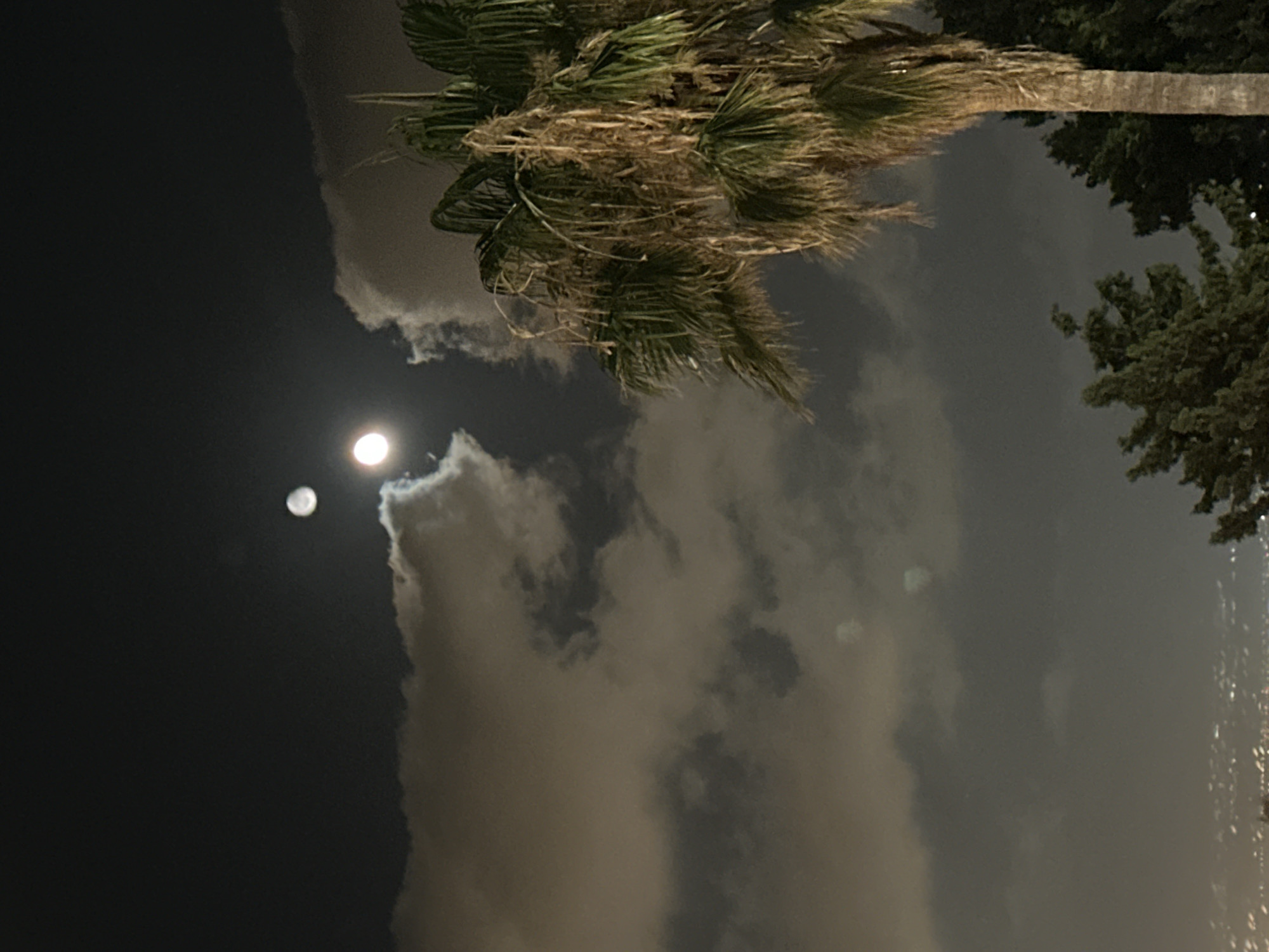 A night-time shot captures the moon partially obscured by clouds, with a palm tree on the right side of the frame. The moon appears as a bright, hazy sphere against a dark sky. The clouds are thick and billowy, with some areas illuminated by the moonlight. The palm tree is tall and slender, with fronds that are green and brown. In the distance, the lights of the city of Haifa, Israel, are visible as a scattered pattern of white and yellow dots, suggesting the scene is from an elevated viewpoint overlooking the urban landscape. The overall mood is serene and atmospheric, with the play of light and shadow on the clouds and foliage adding depth to the image.