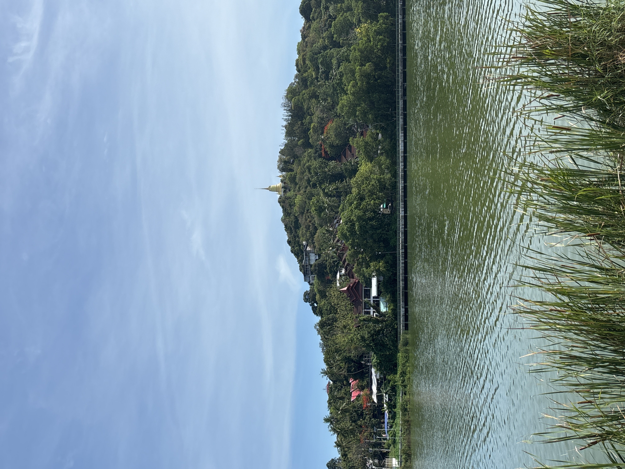 The image shows a view of a hill covered in lush green vegetation and buildings, bordering a body of water. The sky is a clear blue with wispy clouds. A golden stupa is visible on the hilltop. The water is slightly choppy. Reeds grow along the water's edge in the foreground. This is located in บ้านบางรักษ์, Thailand.