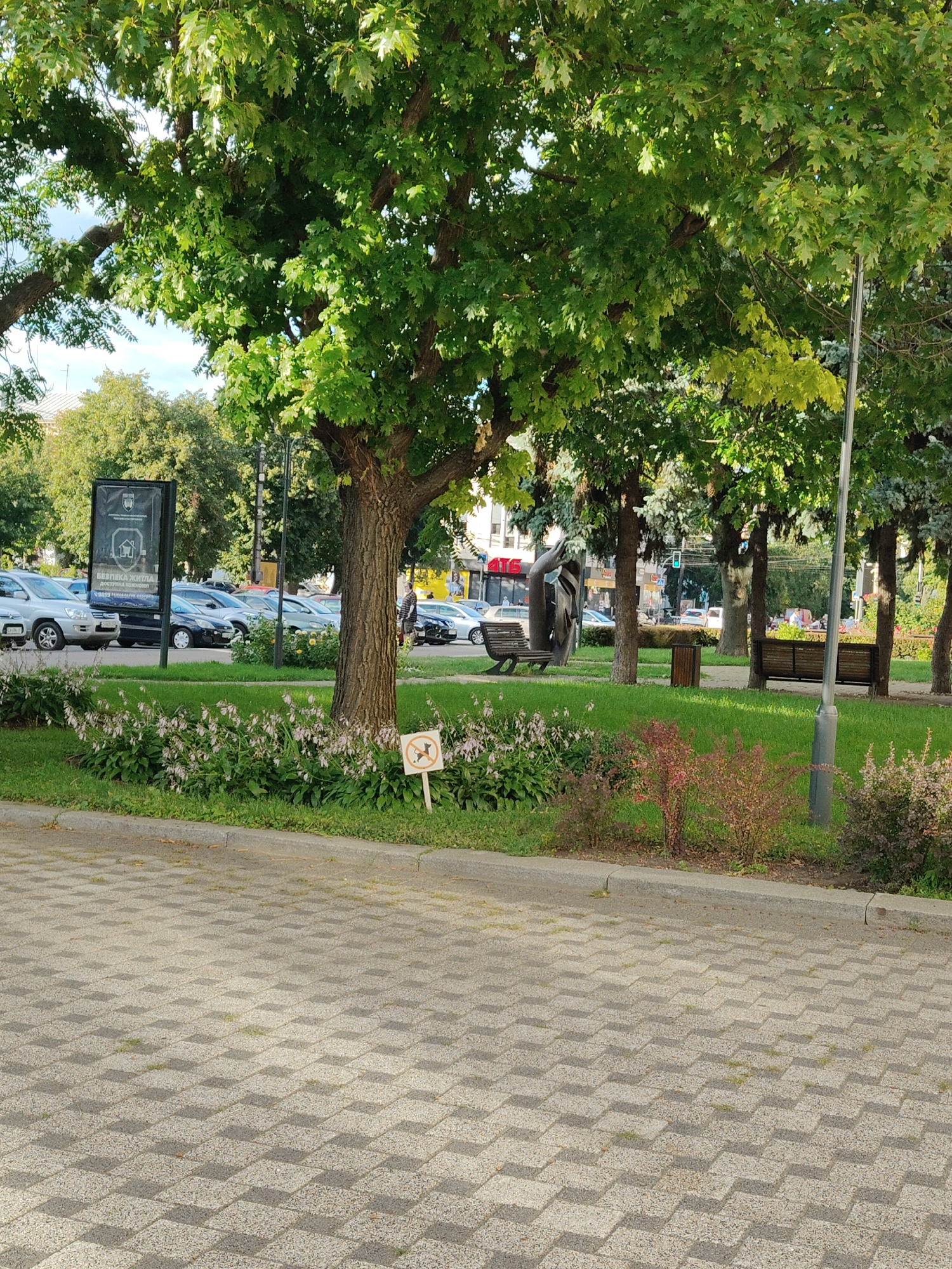 The image depicts a park scene in the city of Cherkasy, Ukraine, featuring a large, mature tree with lush green foliage dominating the foreground. Sunlight filters through the leaves, casting dappled shadows. Beneath the tree, a paved pathway is visible, made of grey interlocking pavers arranged in a diamond pattern. To the left of the pathway, a manicured lawn is dotted with small, delicate pink flowers. A small, white circular sign with a red border and a black silhouette of a dog with a red line through it, indicating "no dogs allowed," is placed on a stake in the grass.
In the background, several parked cars are visible, suggesting proximity to a street or parking area. A tall, dark lamppost stands to the right of the tree. Further back, more trees form a green backdrop, and some buildings with visible signage can be seen. A dark metal sculpture, abstract in form, is positioned behind a wooden park bench on the left side of the image. Another wooden bench is visible on the right side of the park area. A person in dark clothing is walking in the distance on the right. The overall impression is of a well-maintained urban park on a sunny day.