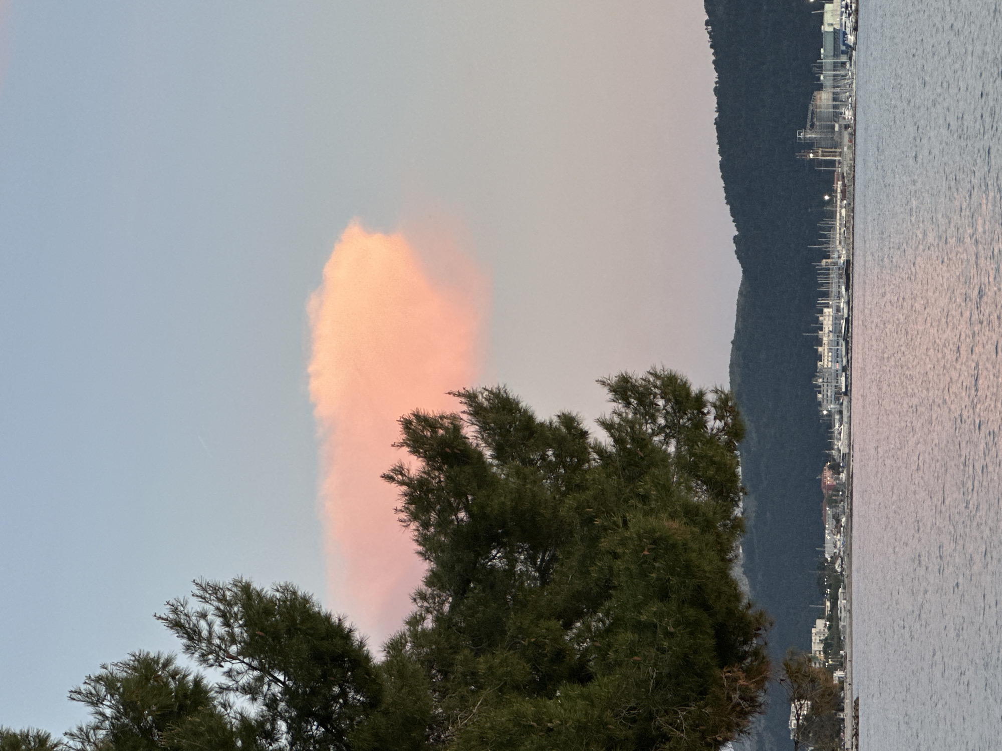 The image displays a serene coastal landscape during either sunrise or sunset, evidenced by the soft, warm light and sky colors. The view is oriented with the sky occupying the top and left, dark trees in the bottom-left and center, and a body of water with a distant shoreline and mountains on the right.
In the upper portion of the sky, a large, vibrant peachy-pink cloud stands out against a pale blue-grey background. A faint white contrail is visible in the upper-left corner of the pale sky. The foreground and mid-ground on the left are dominated by dense, dark green evergreen trees with pine-like foliage, their branches reaching upwards.
To the right, a calm body of water, likely the sea, stretches horizontally, showing subtle ripples and reflecting the soft light from the sky. Across the water, a distant shoreline reveals a town or port area. This area features numerous light-colored buildings, some appearing industrial or residential, with several cranes and the distinct masts of many docked boats or yachts, suggesting a marina. Behind this coastal development, a dark green, undulating mountain range rises, forming the backdrop of the scene.
The overall atmosphere is tranquil and peaceful, highlighting the natural beauty of the area combined with human development along the coast. No specific human activity is depicted, and there is no visible text. The combination of mountains, a large body of water, and a port indicates a coastal location, consistent with Bar, Montenegro.