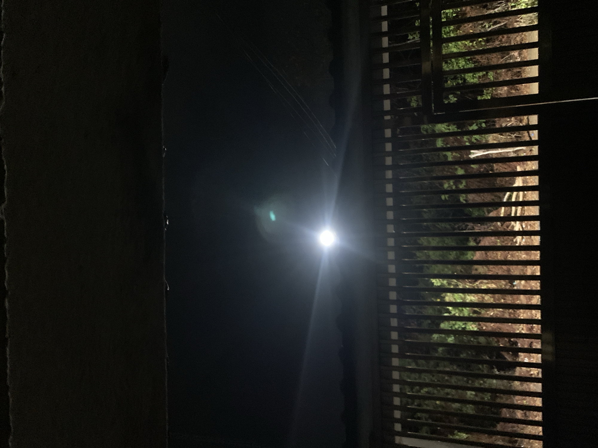 The image depicts an outdoor night scene in the city of Santa Ana, Venezuela, viewed from a slightly elevated position, possibly from beneath an overhang or ceiling, which is visible as a dark, textured horizontal band at the top. The sky is dark, indicating nighttime. A prominent, intensely bright light source, positioned slightly right of the center in the mid-ground, casts a strong lens flare, including a green-blue artifact and a horizontal light streak. This light illuminates the immediate environment. Faint, dark, undulating lines, possibly a distant horizon or low-lying structures, are visible beneath the light. In the upper right quadrant of the sky, subtle diagonal lines, indicative of utility wires, are present.
A dark, segmented fence or gate with numerous vertical bars spans the width of the image, extending from the middle to the lower section. The top edge of this gate aligns roughly with the horizon. Through the vertical bars of the gate, dense vegetation and ground are visible. The vegetation displays varying shades of green foliage and brown/reddish-brown earth or dried plant material. On the left side, the foliage appears greener and denser, while towards the right, more exposed earth and lighter-colored, possibly dead, branches or tree trunks are apparent, particularly to the left of what appears to be an open section or a secondary gate segment on the far right. The very bottom of the image is occupied by a solid dark horizontal band, likely the base of the gate or an obstruction directly in front of the camera. No people are visible, and no actions or interactions are depicted. The environment suggests a natural or semi-natural setting beyond the gate, likely a garden, undeveloped land, or a forested area.