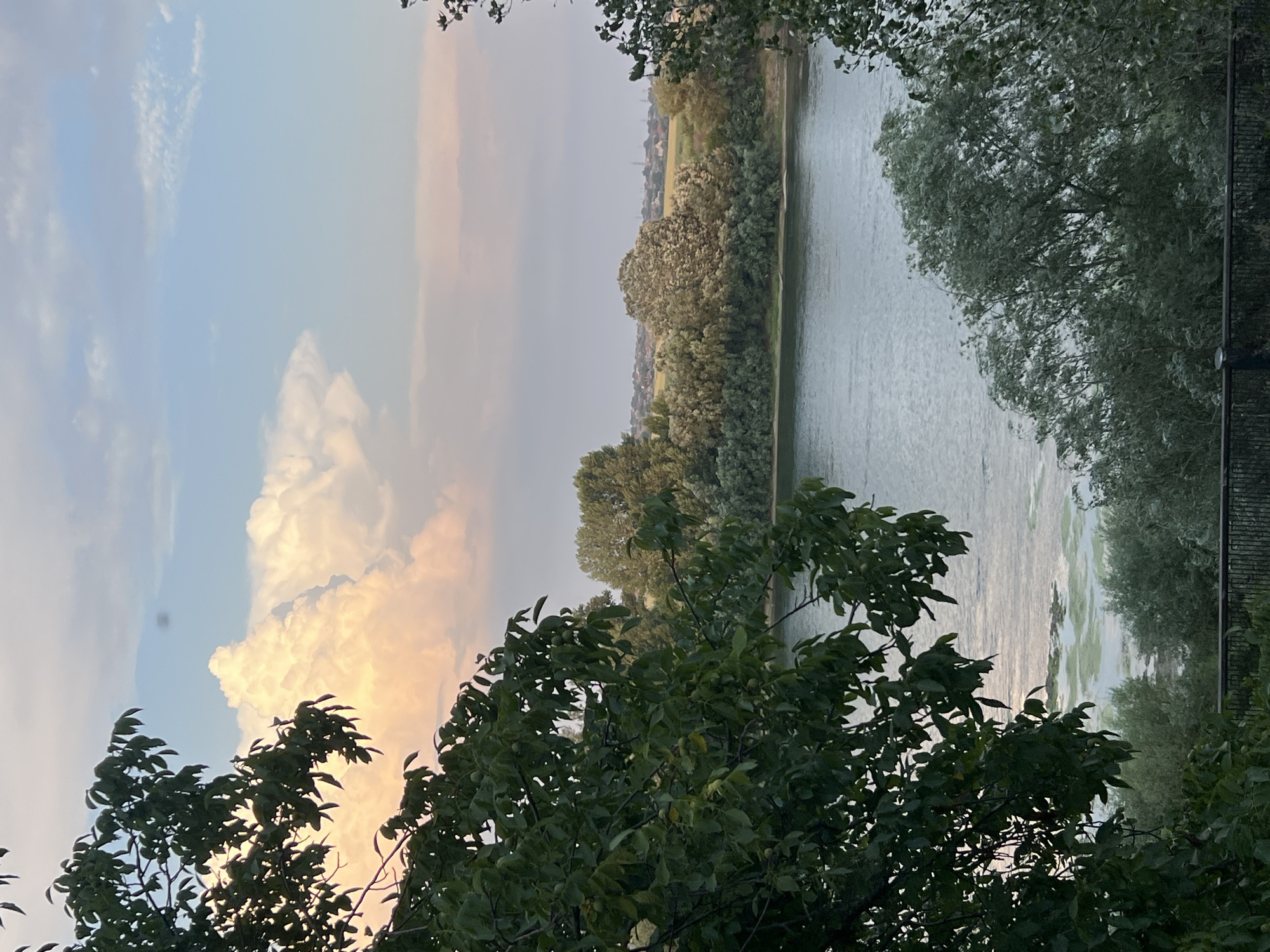 The image captures a serene riverside scene in Bender, Moldova. In the foreground, a lush green tree with dark leaves partially obscures the view. The middle ground features a calm river with patches of green algae near the bank. Beyond the river, a dense line of trees forms the opposite bank, with a village and yellow fields visible in the distance. The sky above is a mix of blue and pale pink, with a large, fluffy white cloud illuminated by the setting sun. The overall atmosphere is tranquil and picturesque.