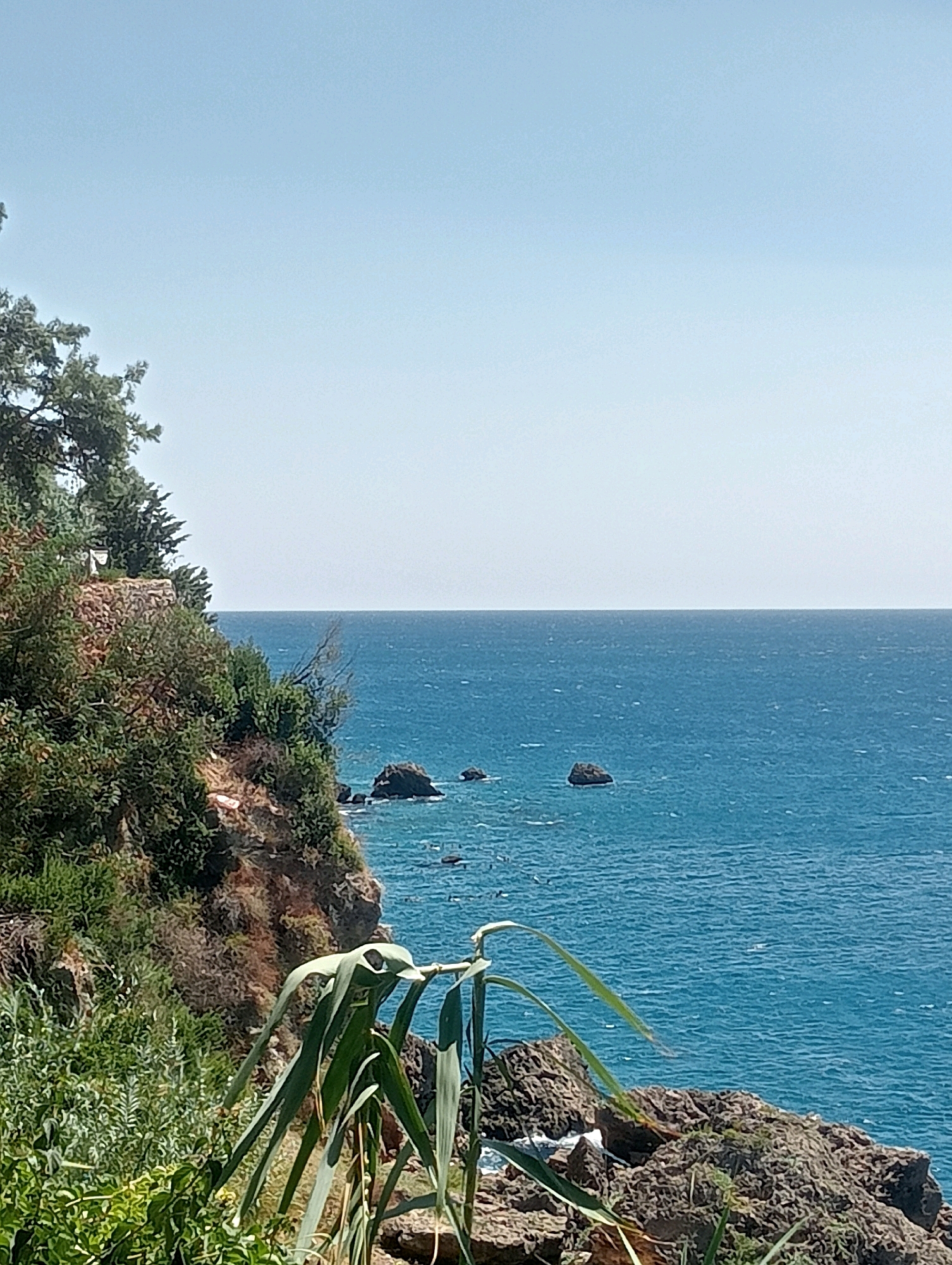 The image captures a scenic view of the Mediterranean Sea from a cliffside in Antalya, Turkey. The foreground is dominated by lush green foliage and rocky terrain, with large, broad leaves of a plant prominently featured in the lower right. A rugged cliff face, covered in dense vegetation and showing signs of erosion, slopes down towards the sea.
In the mid-ground, the vibrant blue waters of the Mediterranean stretch towards the horizon. Several dark, weathered rocks emerge from the sea, some appearing as small islands. The water surface is textured with ripples, suggesting a gentle breeze. The horizon line is distinct and sharp, separating the sea from the clear, pale blue sky that occupies the upper portion of the image.
In the distance, along the left side of the frame, the silhouette of trees can be seen on the cliff's edge, hinting at a park or natural reserve area. The overall impression is one of a tranquil, sun-drenched coastal landscape. There are no people or animals visible in the scene. The lighting suggests it is daytime, likely late morning or early afternoon, with the sun high in the sky.