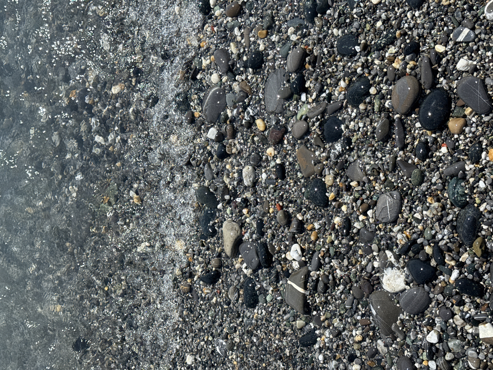 This is a close-up, high-angle photograph of a pebble beach with shallow, clear water lapping at the shore. The pebbles are of various sizes, colors, and shapes, ranging from dark gray and black to white, beige, and some with red and green hues. Many of the pebbles are wet and reflective, glistening in the sunlight. The water is transparent, allowing the submerged pebbles to be clearly visible. The surface of the water is disturbed by small ripples, and numerous small, bright highlights, likely reflections of the sun, are scattered across it. The scene appears to be a natural beach environment, typical of coastal areas, and could be found along the Ligurian coastline near Genoa, Italy. There are no people or animals visible in the image. The focus is entirely on the textures and interplay of light on the pebbles and water.