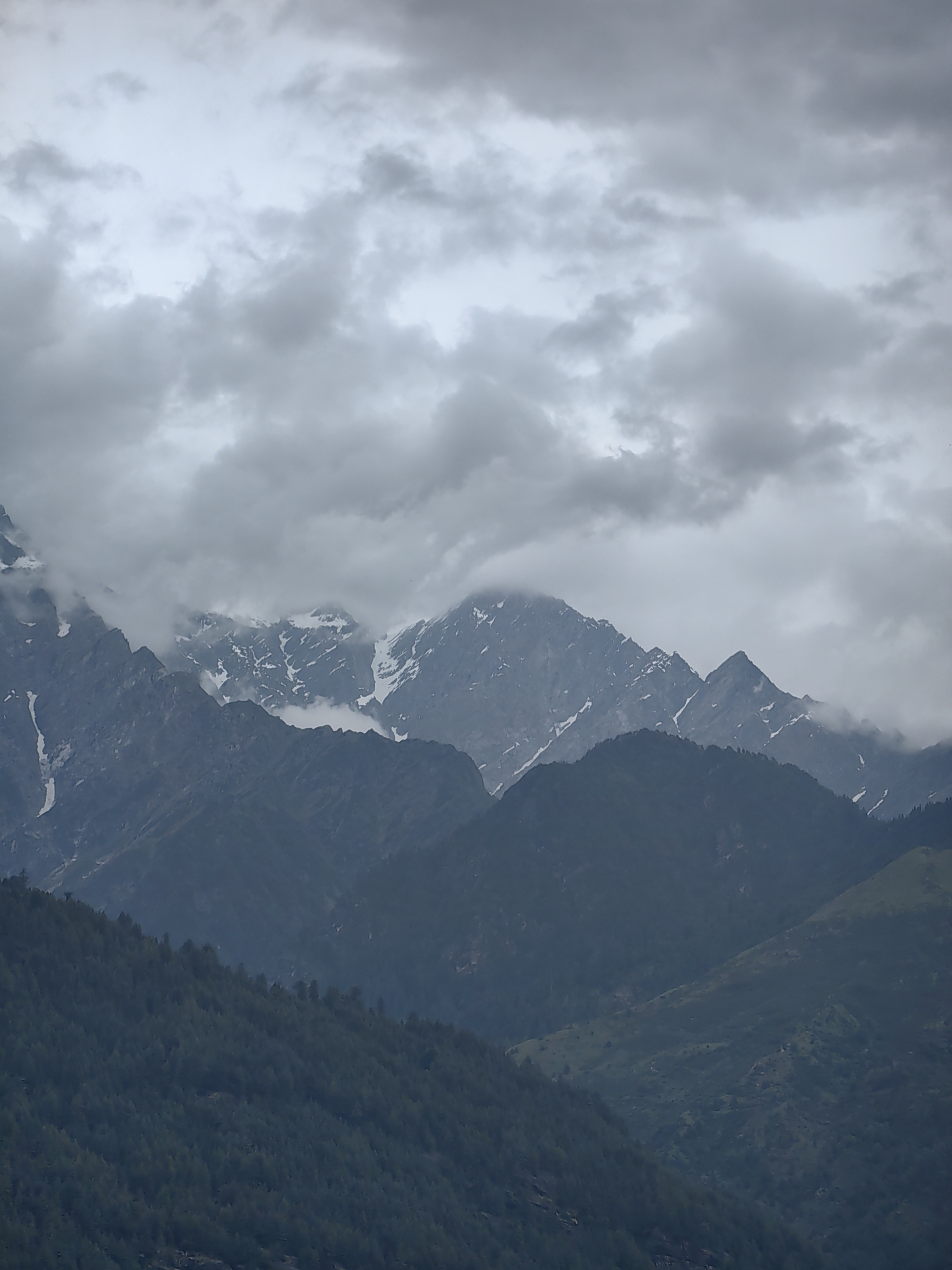 The image shows a panoramic view of the majestic Himalayas in Vashisht, India, under a cloudy sky. The foreground is dominated by a dense forest of pine trees covering the slopes of a mountain. As the eye moves further back, layers of mountains recede into the distance, revealing jagged peaks partially covered in snow. The clouds are thick and grey, obscuring parts of the higher mountain ranges and creating a dramatic, moody atmosphere. The overall impression is one of rugged natural beauty and imposing mountain landscapes. There are no people or man-made structures visible in the image.