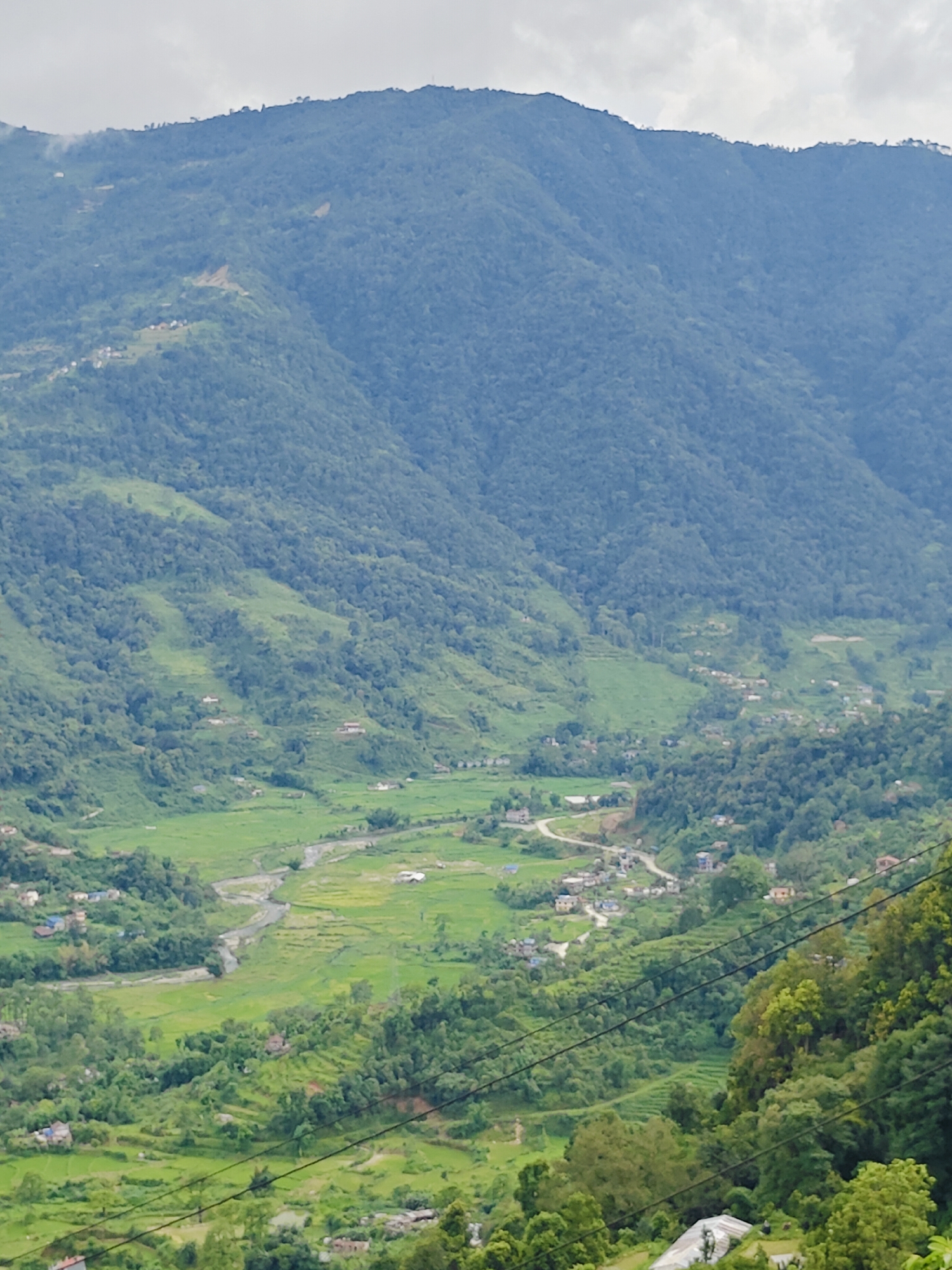 The image shows a panoramic view of a valley in Pokhara, Nepal, characterized by lush green mountains and terraced fields. The foreground features power lines crisscrossing the frame, with a cluster of houses and trees on a slope to the right. The midground reveals a winding road and several scattered buildings nestled amongst the greenery. A river or stream meanders through the vibrant green valley, flanked by more agricultural terraces and scattered settlements. The background is dominated by a large, densely forested mountain range that stretches across the horizon, disappearing into a hazy, overcast sky. The scene depicts a rural mountainous landscape, typical of the Pokhara region, with evidence of human habitation and agriculture integrated into the natural environment. There are no visible people in the image.